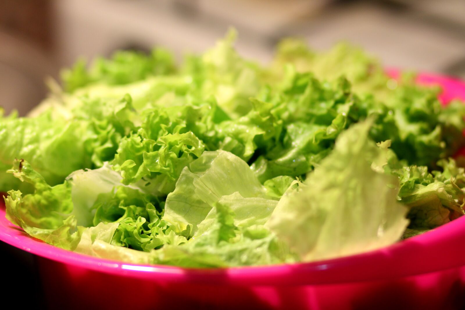 Canon EOS 550D (EOS Rebel T2i / EOS Kiss X4) sample photo. Food, salad, lettuce photography