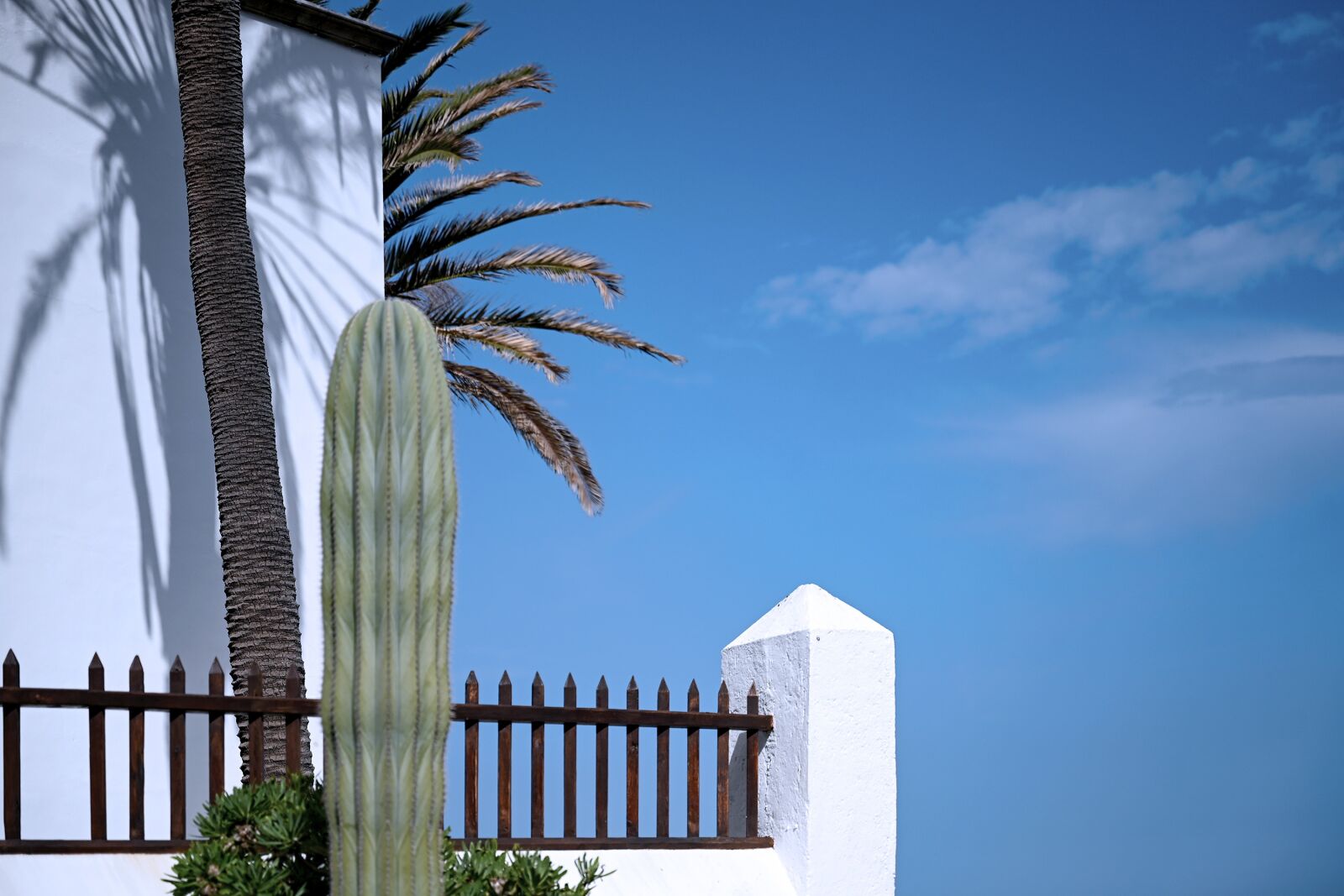 Nikon Nikkor Z 24-70mm F2.8 S sample photo. Fence, cactus, sky photography