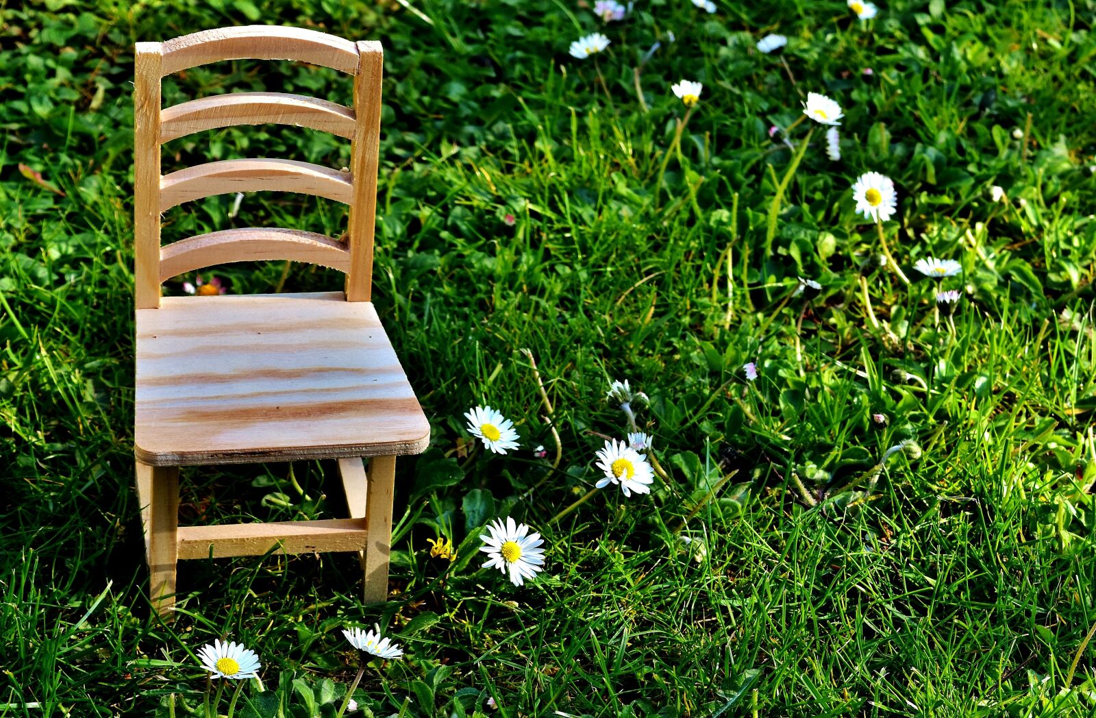 Nikon D7200 sample photo. Chair, meadow, wood photography