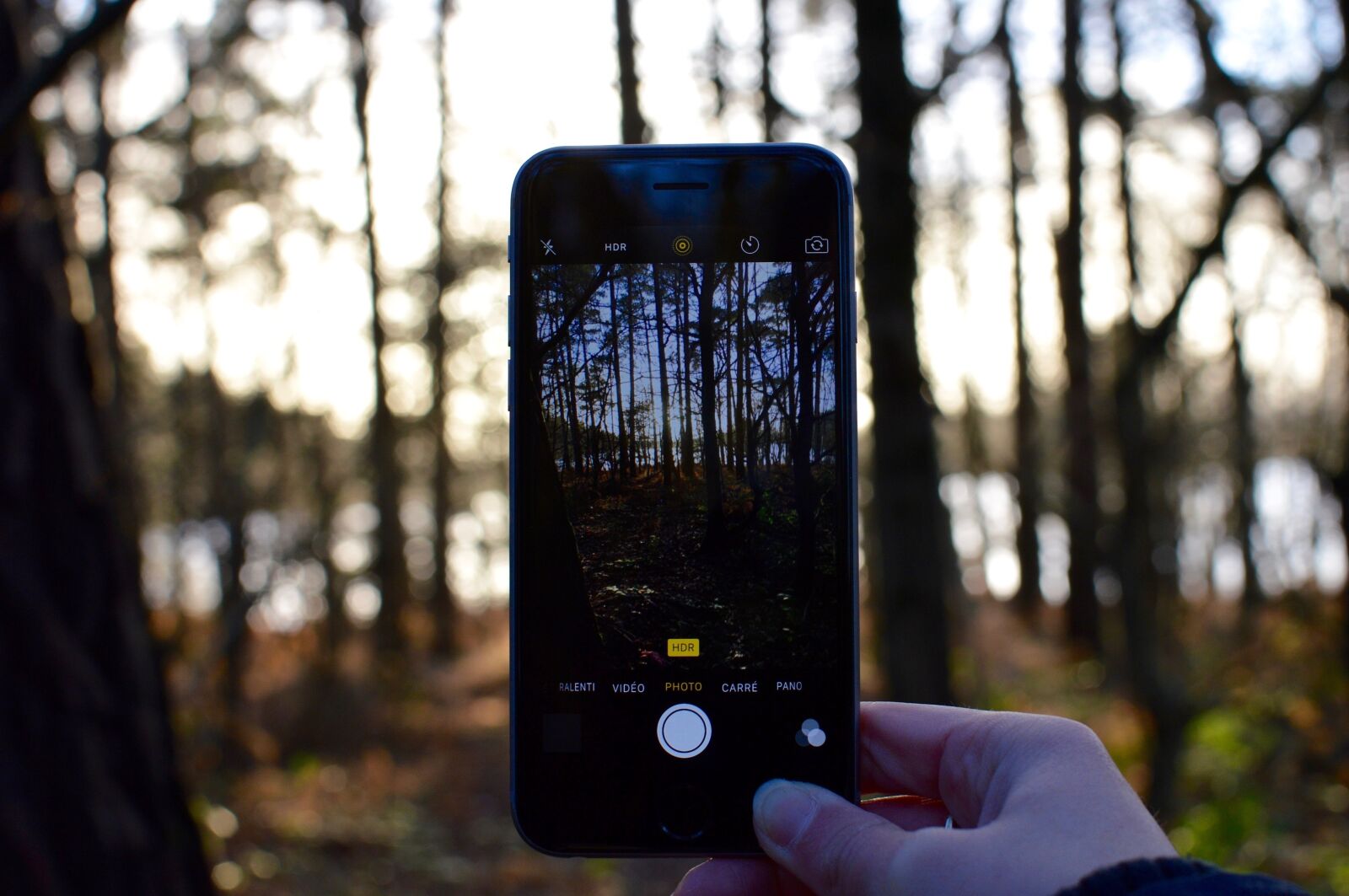 Nikon D3200 sample photo. Wood, phone, apple photography