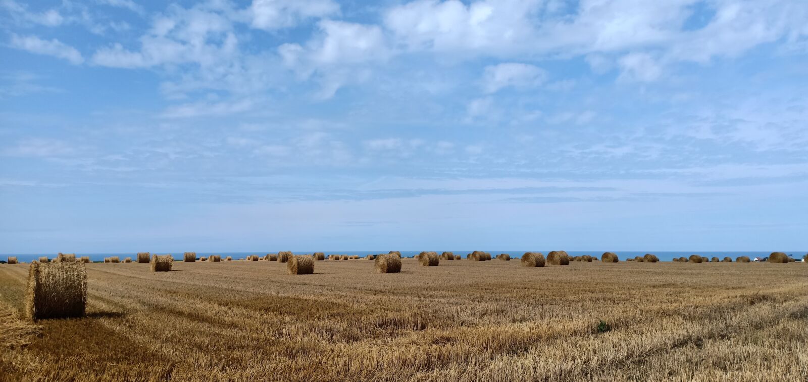 OPPO F7 sample photo. Landscape, straw, harvest photography