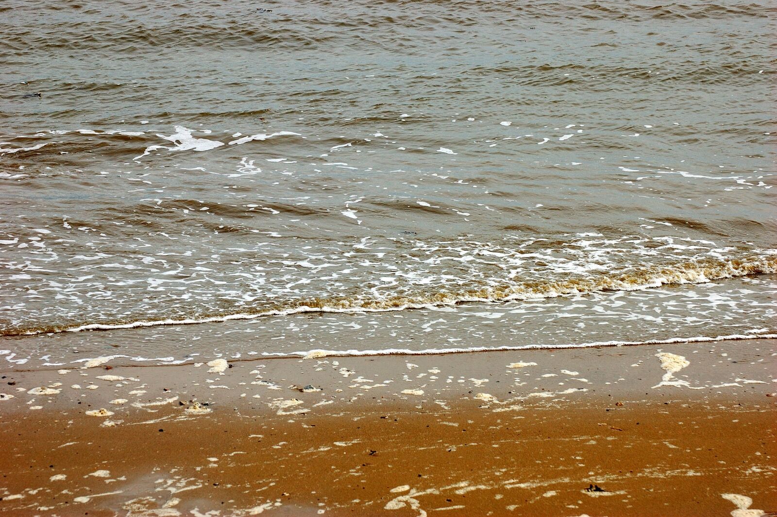 Nikon D40 sample photo. North sea, sea, beach photography