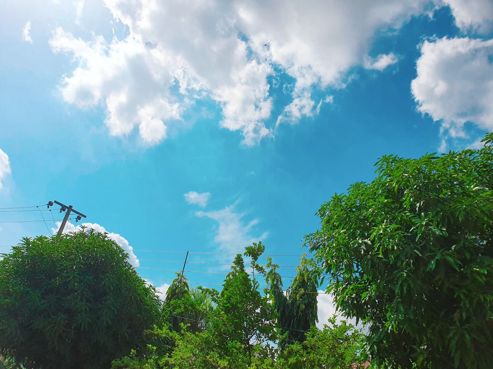 Samsung Galaxy S10 sample photo. Sky, blue, nature photography