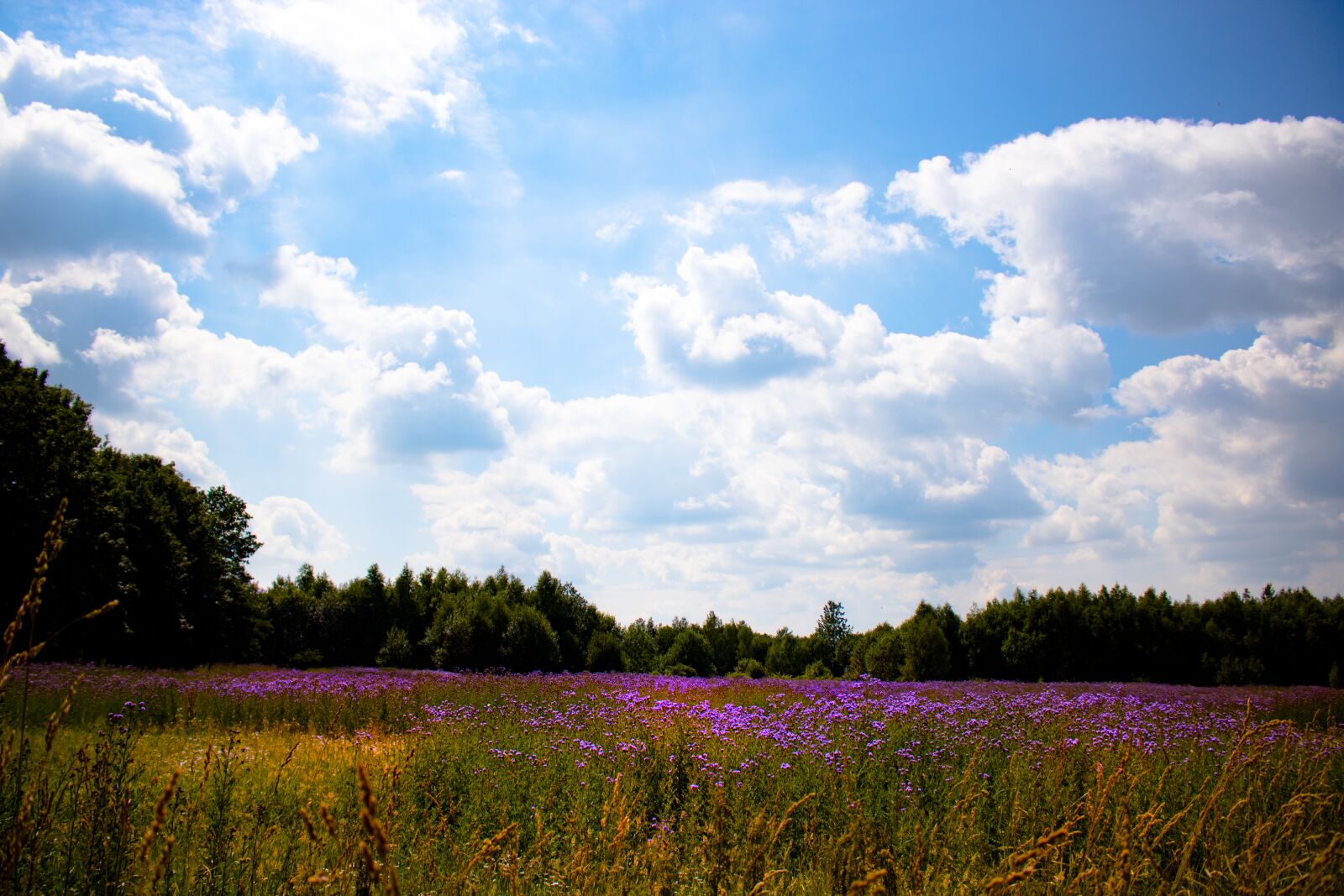 Canon EOS 750D (EOS Rebel T6i / EOS Kiss X8i) sample photo. Landscape, sun, sky photography