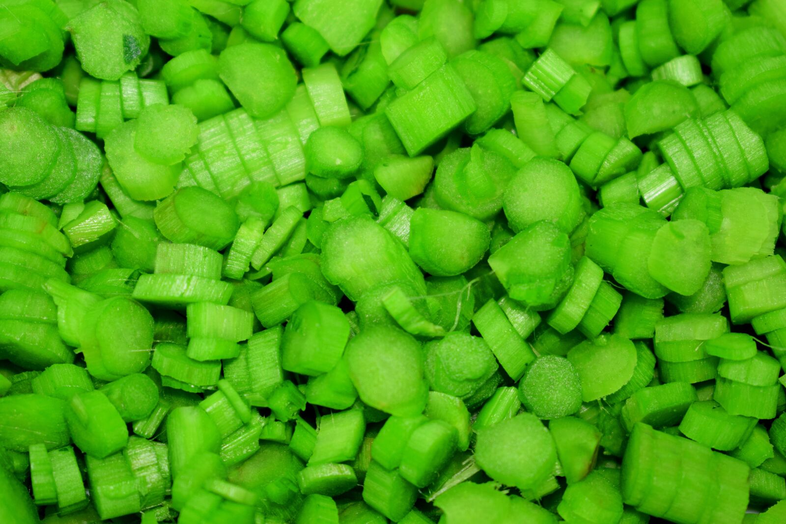 Nikon D5300 sample photo. Sliced vegetable, green background photography