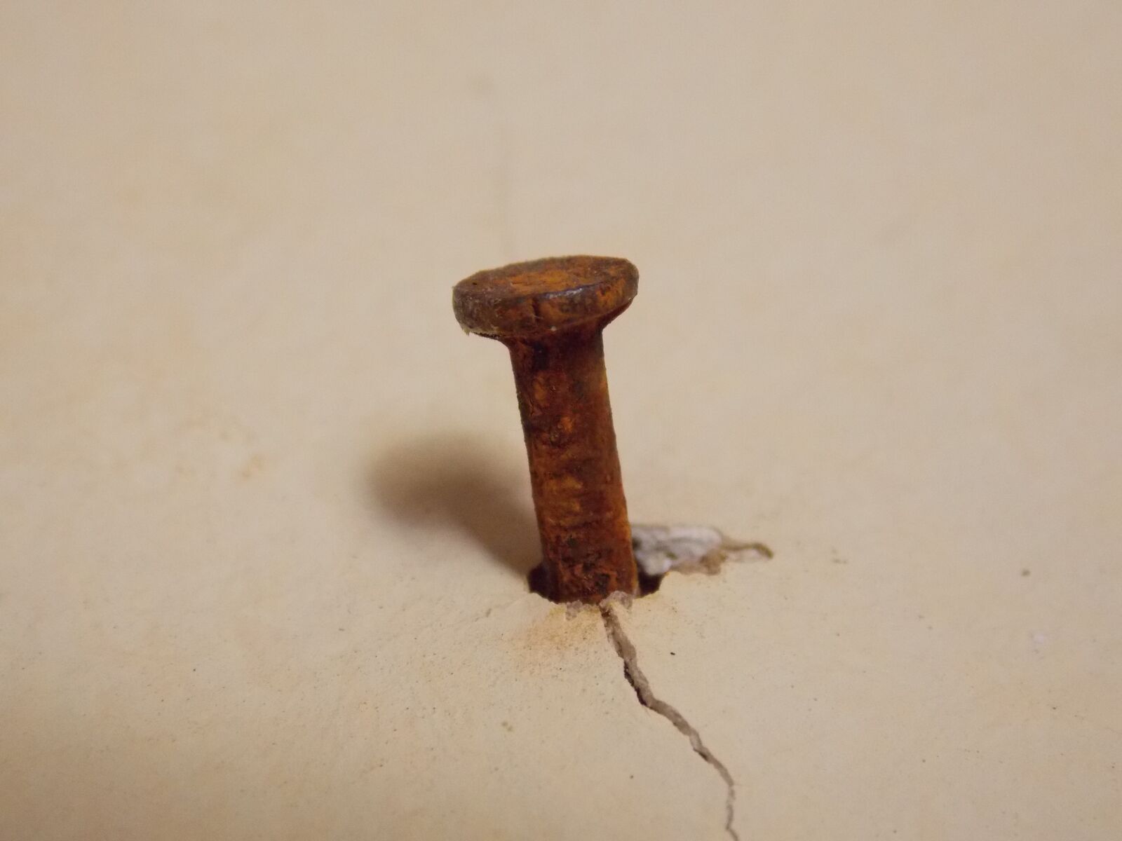 Nikon Coolpix L810 sample photo. Nail, wall, trincado photography