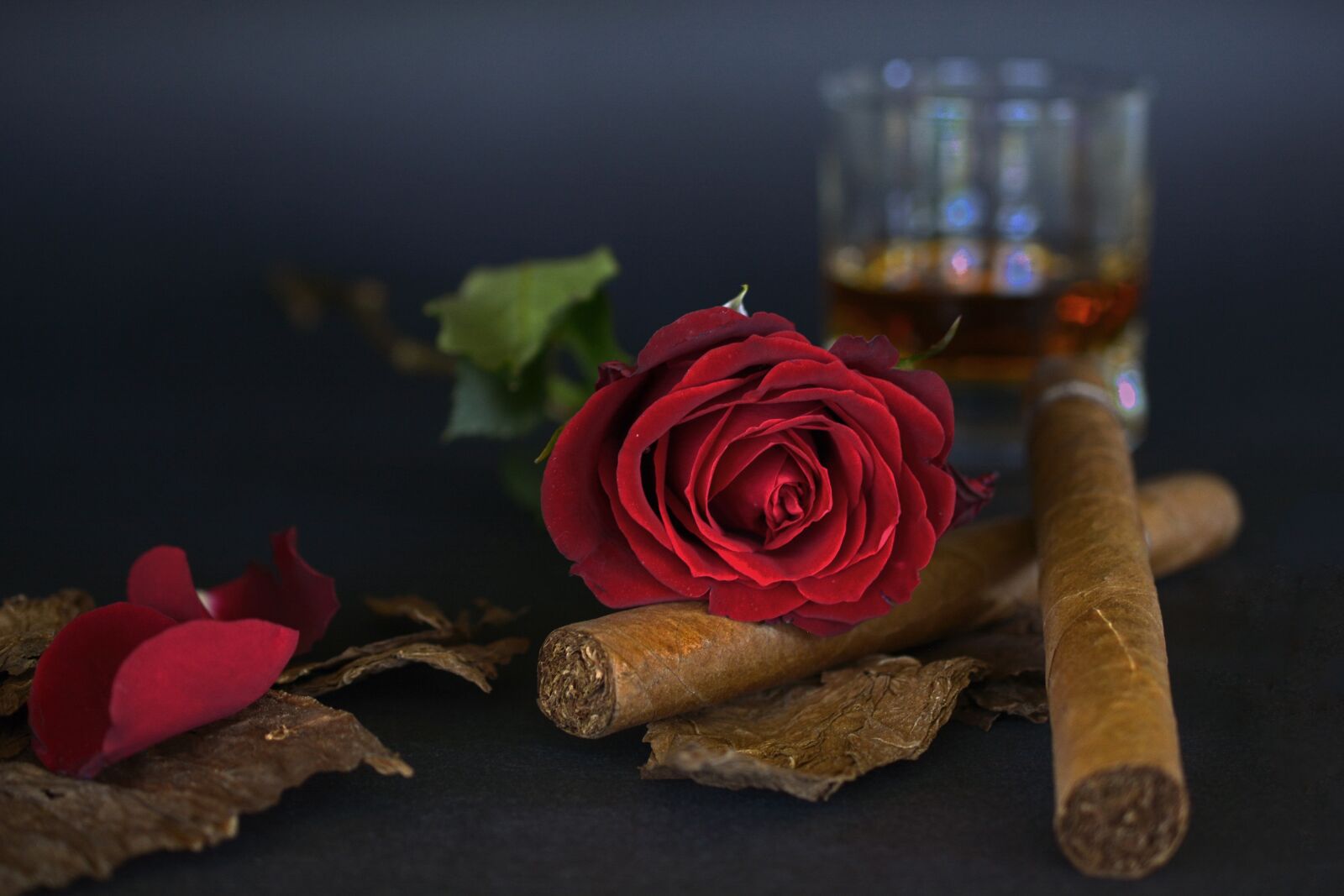 Nikon D7100 sample photo. Rose, red rose, cigar photography