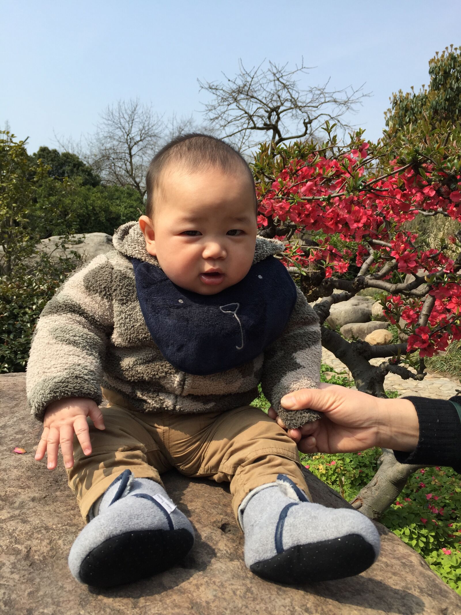 Apple iPhone 6 sample photo. Baby, park, daze photography