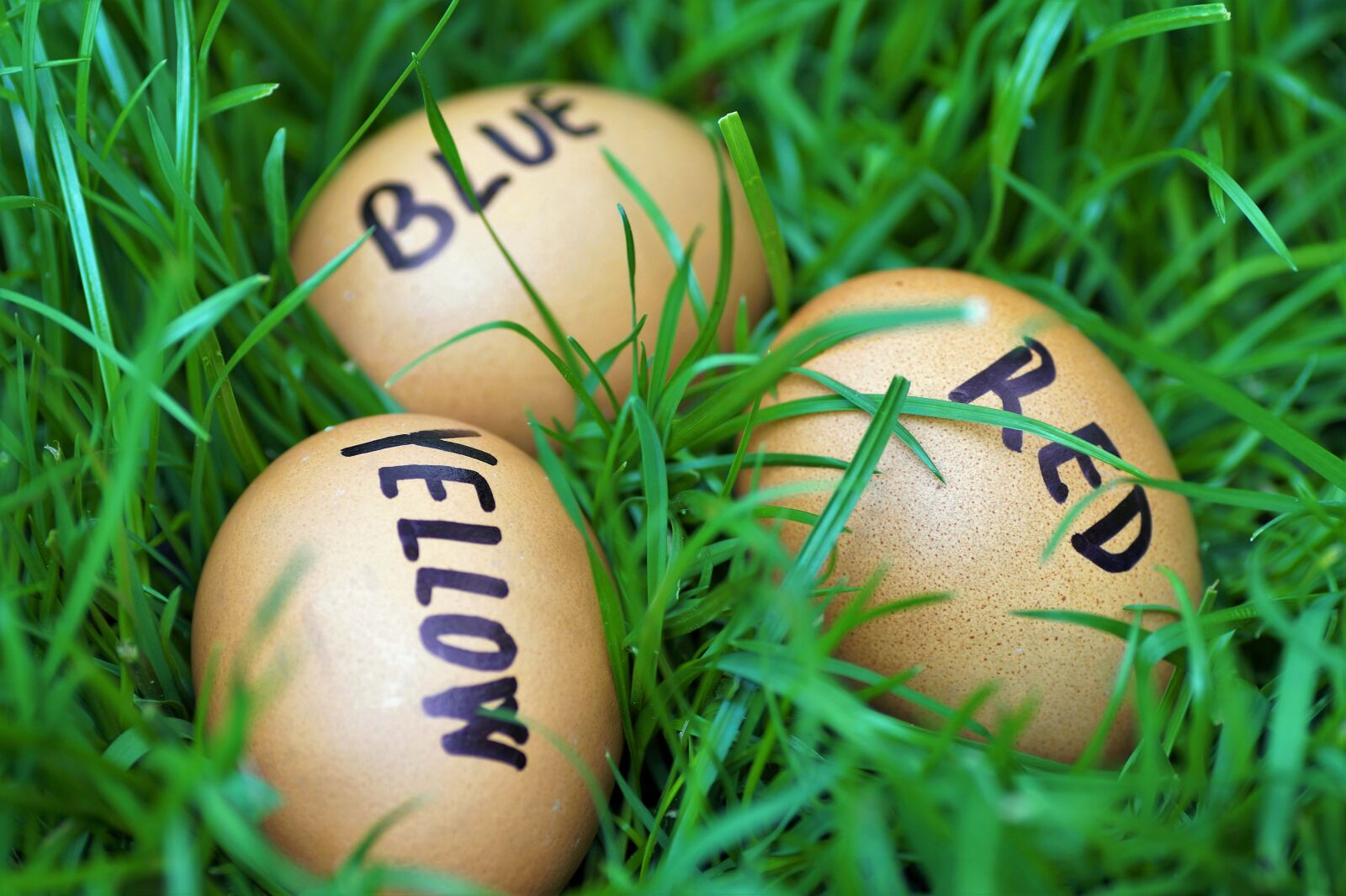 Sony SLT-A58 sample photo. Easter, eggs, easter eggs photography