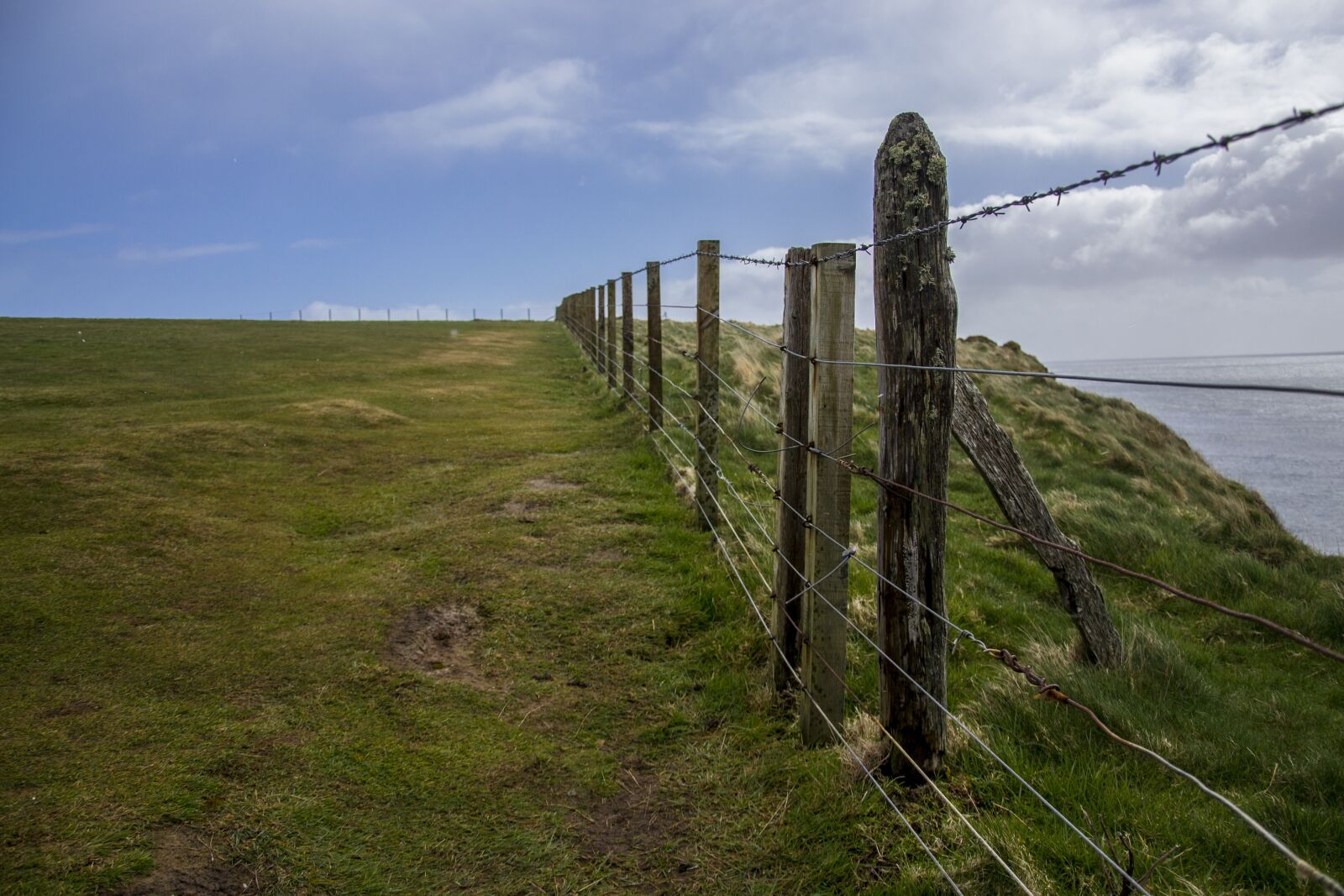 Nikon D3100 sample photo. Scotland, field, landscape photography