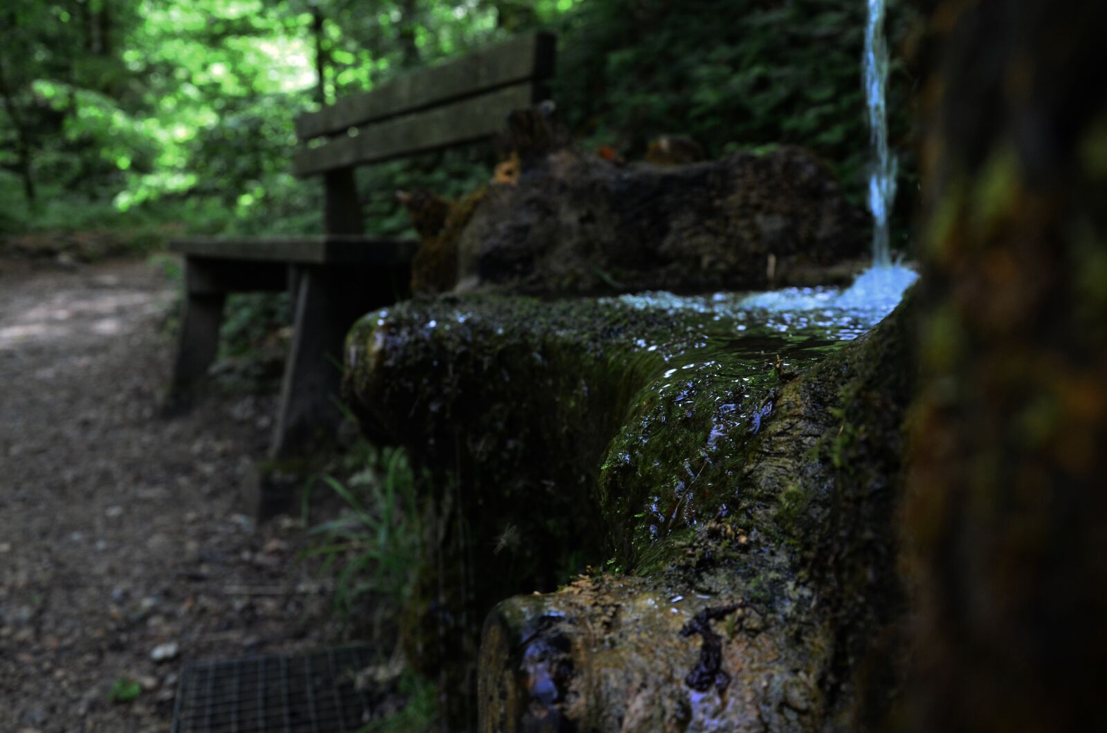Nikon D5100 sample photo. Fountain, bank, hiking photography