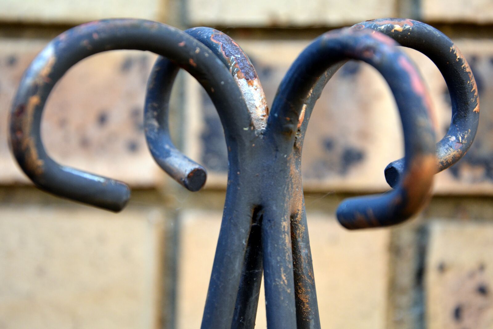 Nikon D5200 sample photo. Design, rusted, garden photography