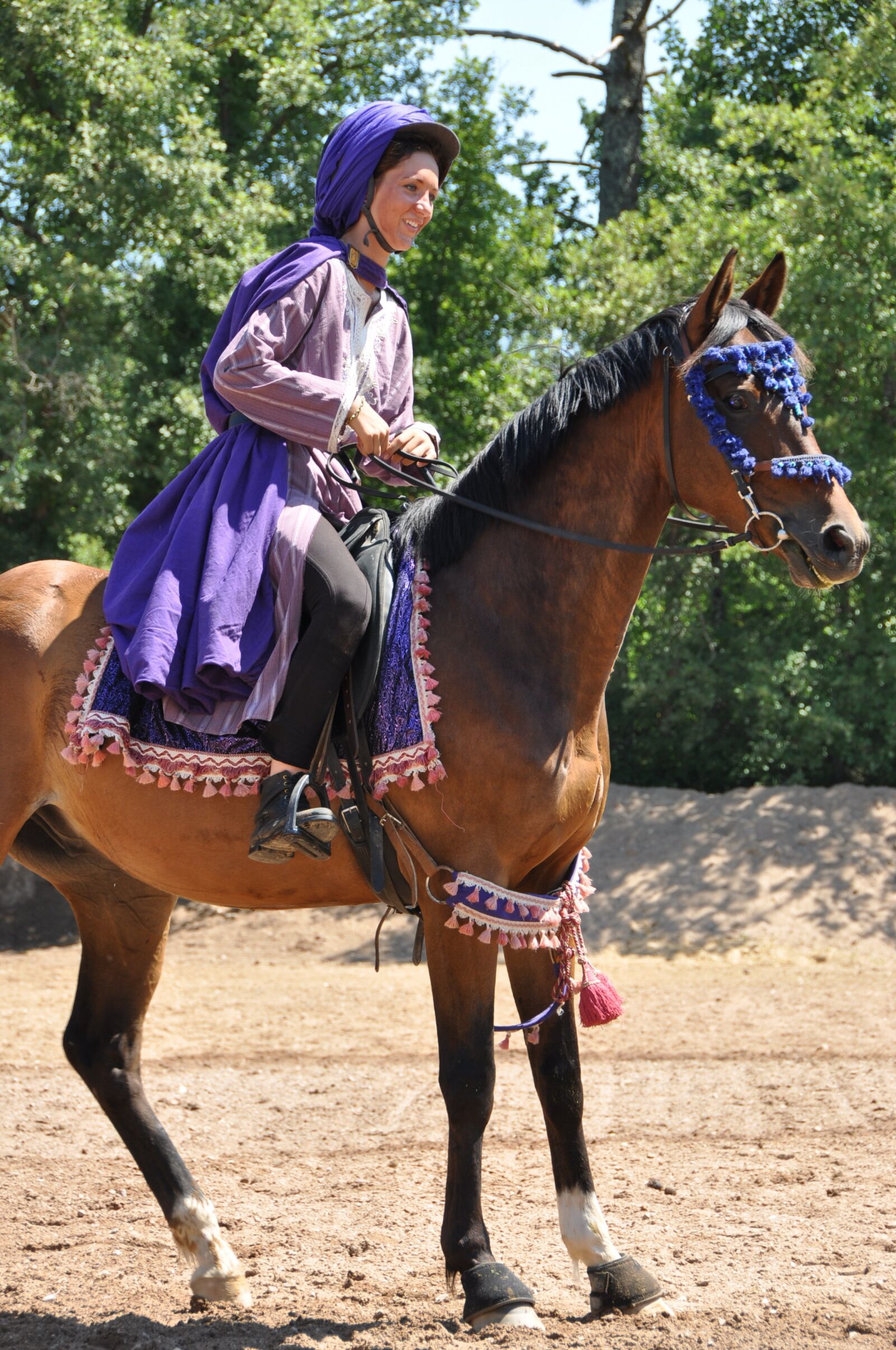 Nikon D90 sample photo. Horse, animals, show photography