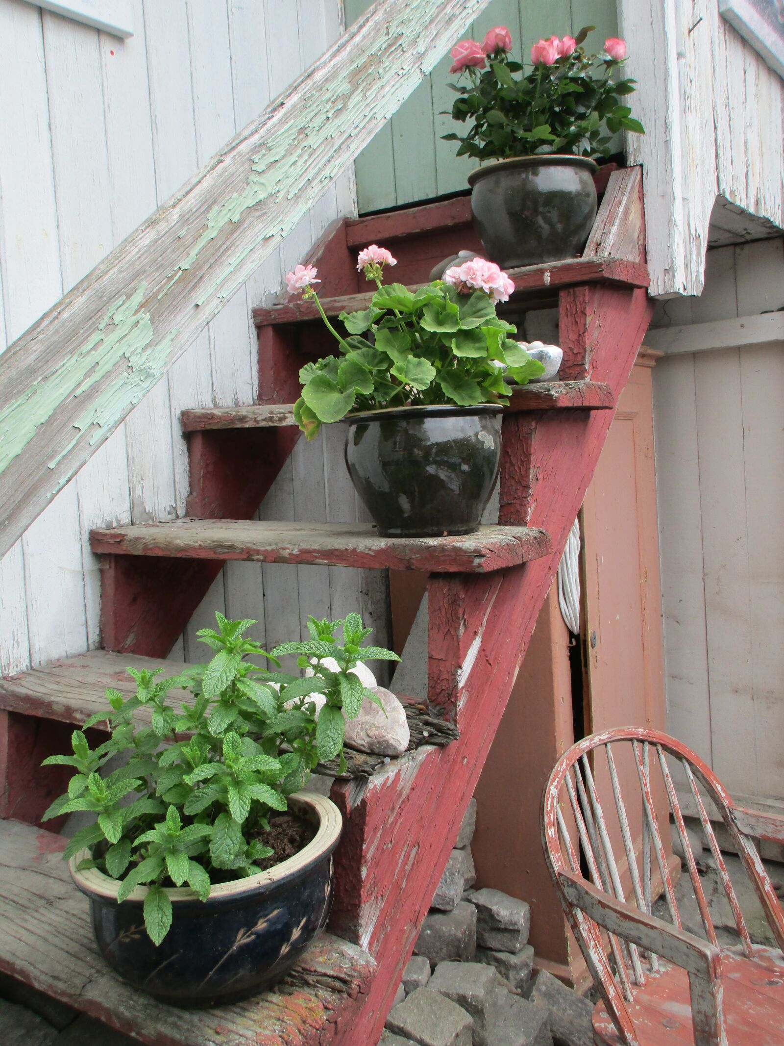 Canon PowerShot ELPH 170 IS (IXUS 170 / IXY 170) sample photo. Flowers, stairs, summer photography