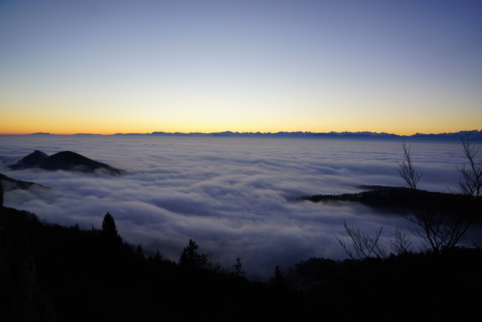 Sony a7R II + Sony FE 24-240mm F3.5-6.3 OSS sample photo. Fog, nebellandschaft, forest photography