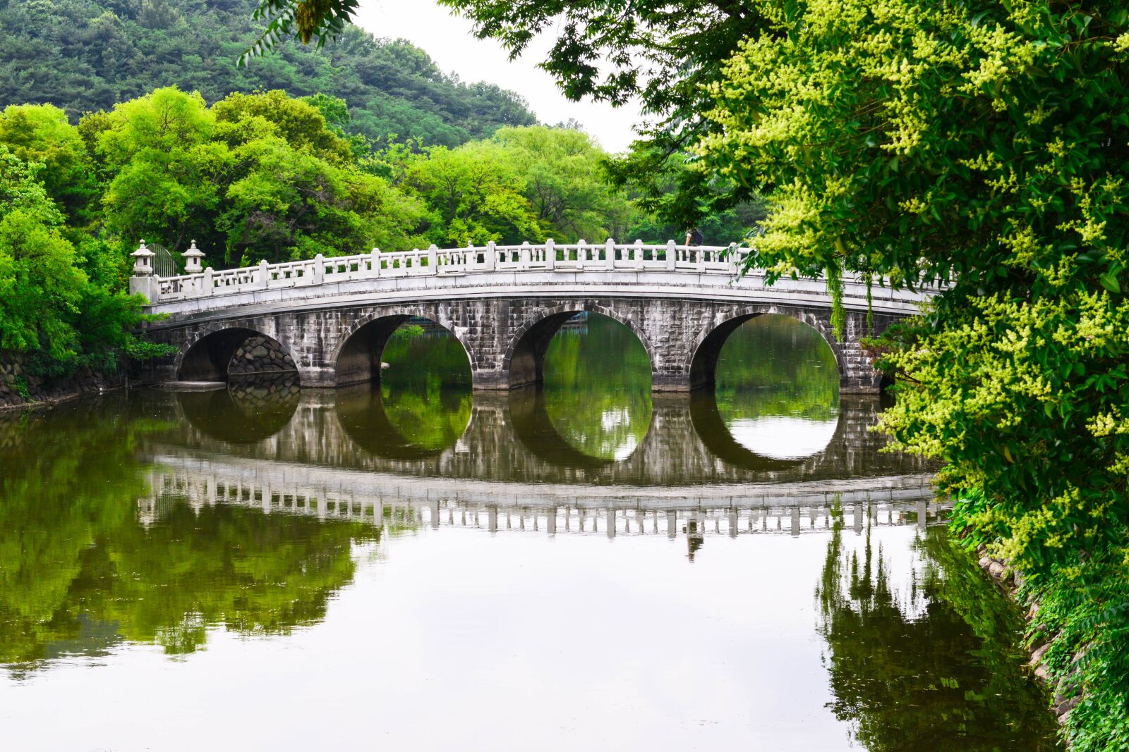 Nikon D800 sample photo. Korea, daegu, river photography