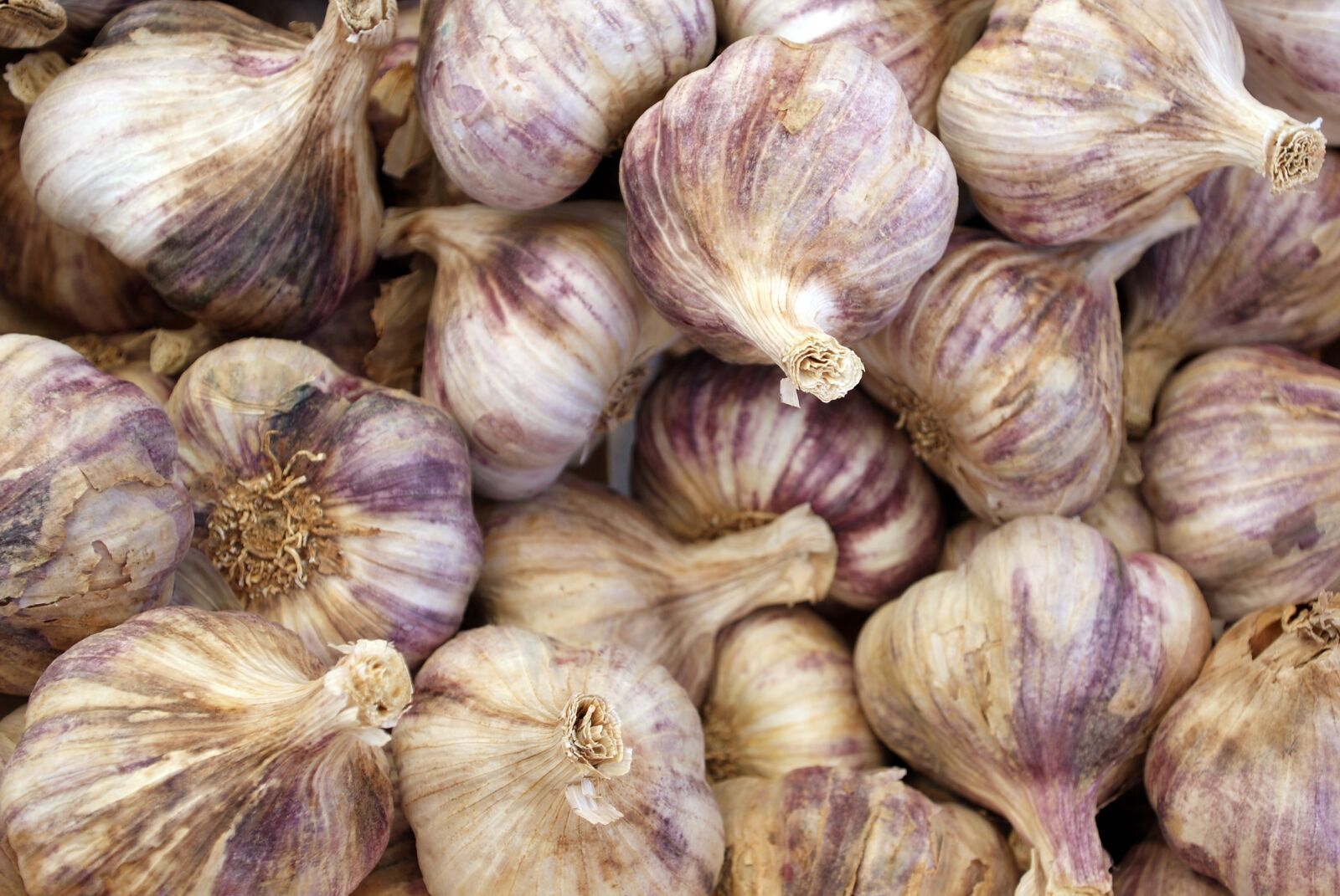 Sony Alpha DSLR-A300 sample photo. Garlic, market, food photography