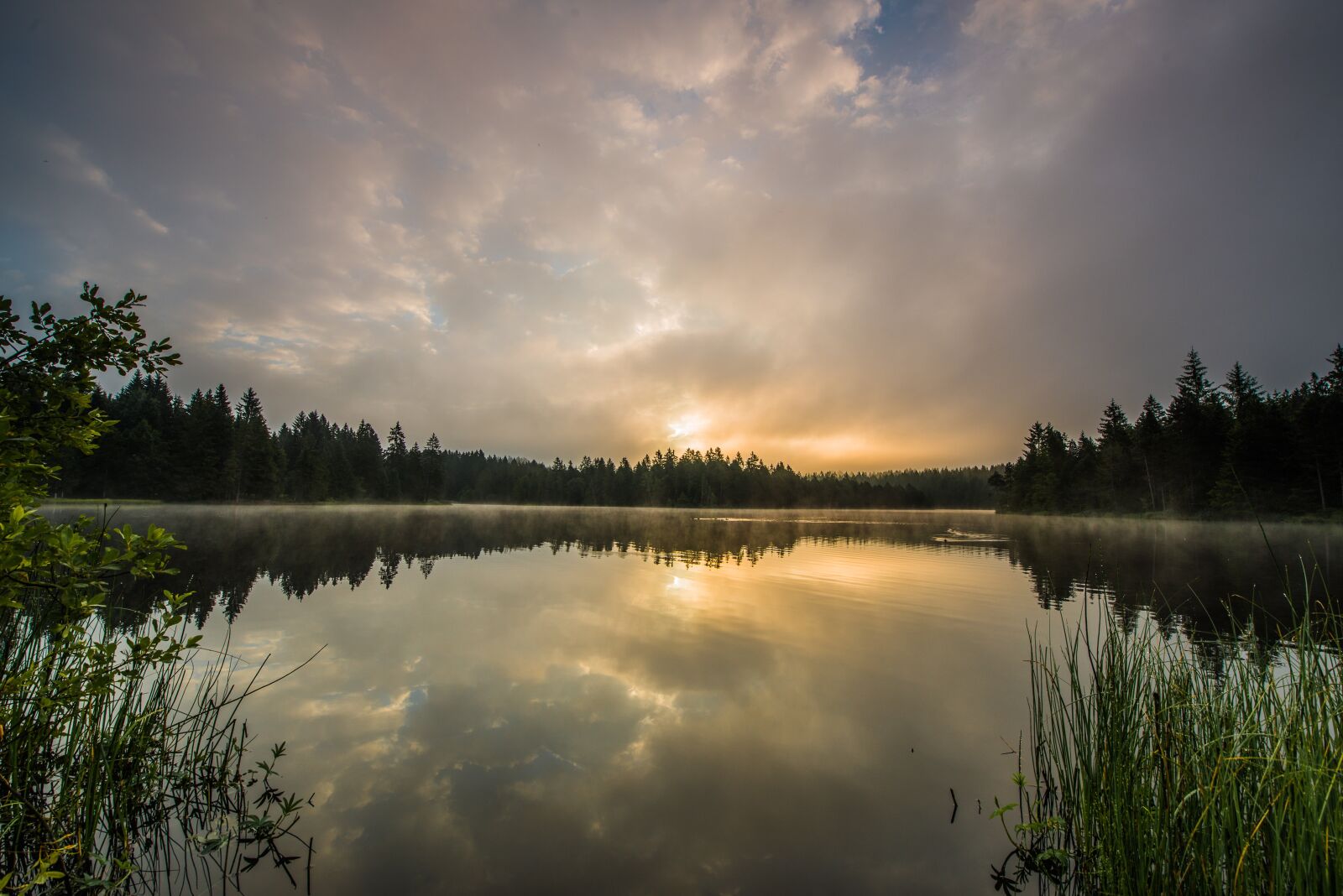 Nikon D800 sample photo. Switzerland, jura, tang de photography