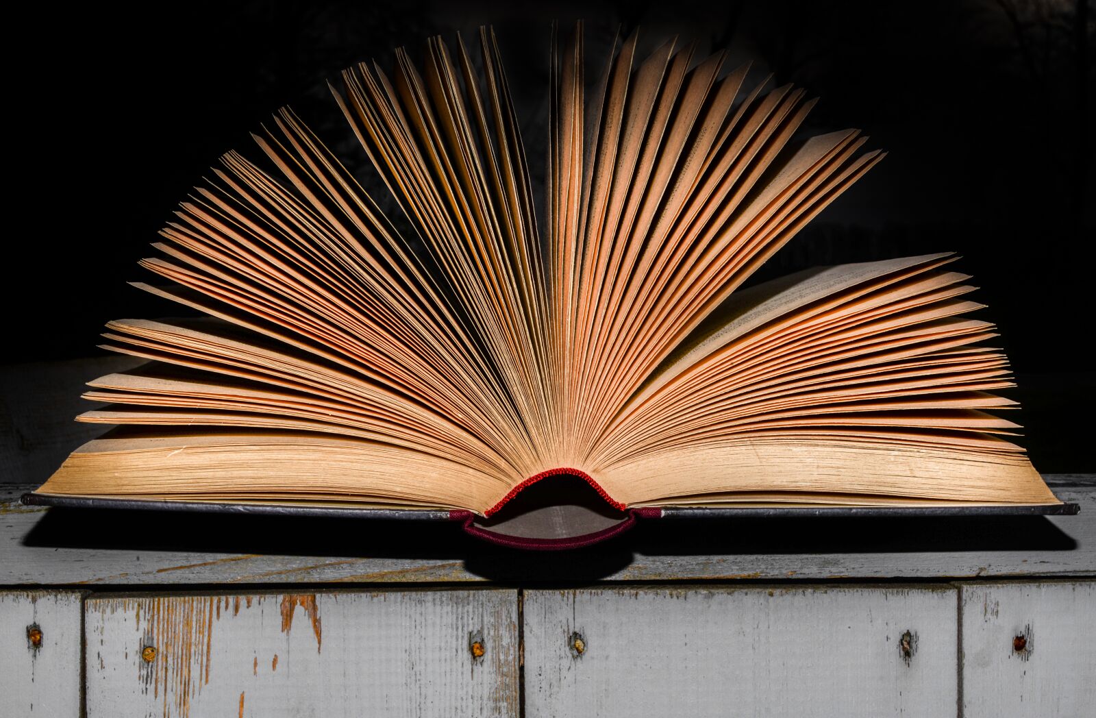 Nikon D610 sample photo. Literature, book, open photography