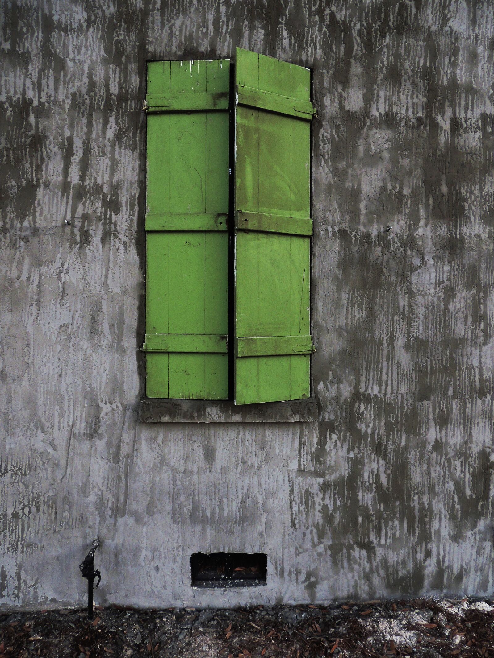Nikon Coolpix P510 sample photo. Closed, gray, green, green photography