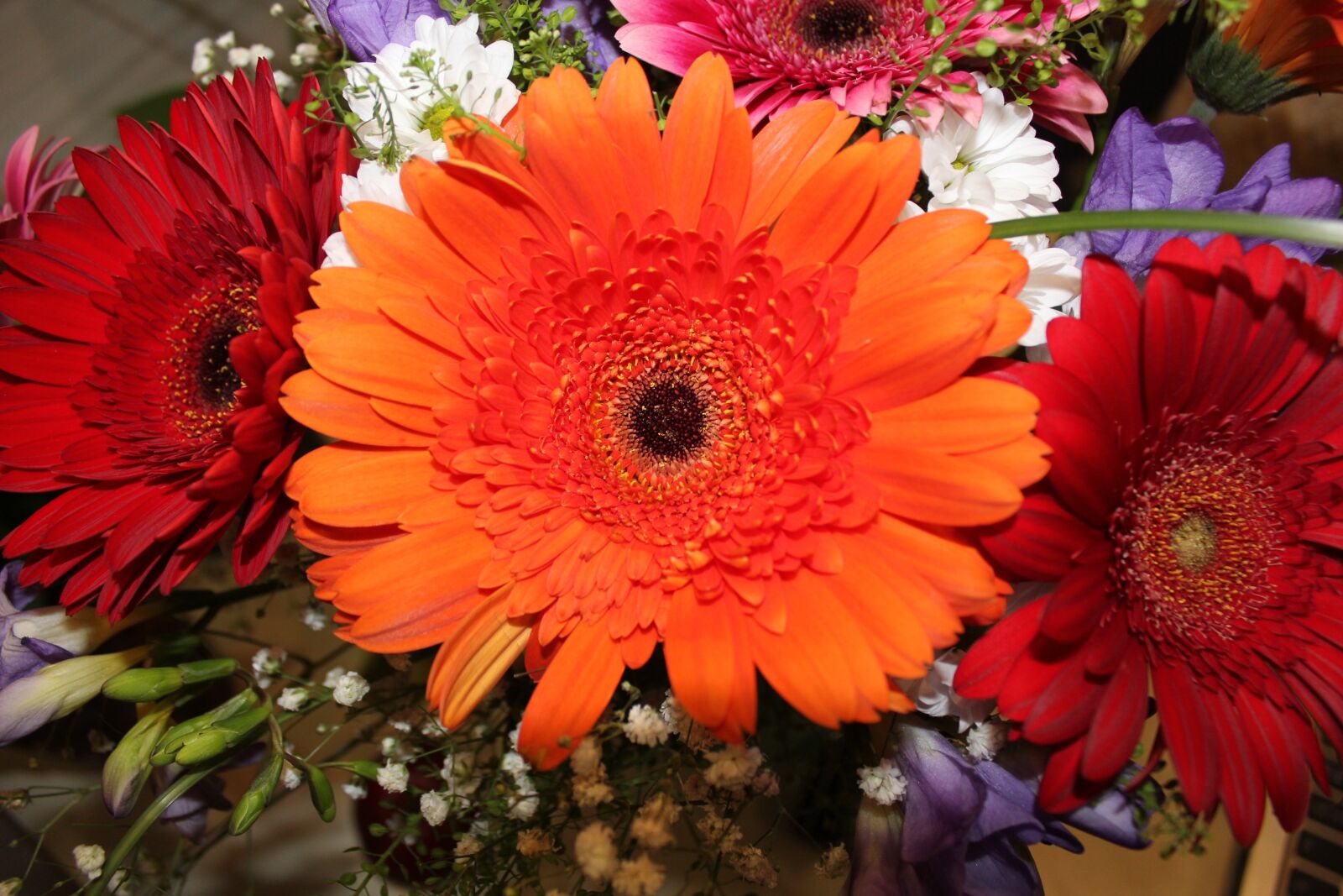 Canon EOS 550D (EOS Rebel T2i / EOS Kiss X4) sample photo. Bouquet, chrysanthemums, flowers photography