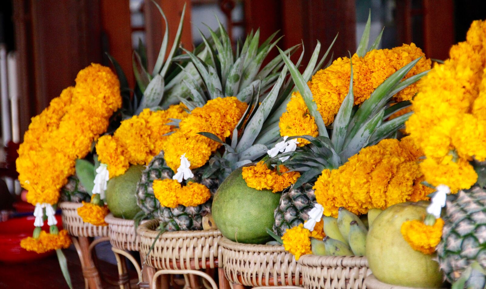 Canon EOS 60D sample photo. Fruits, fruit, pineapple photography