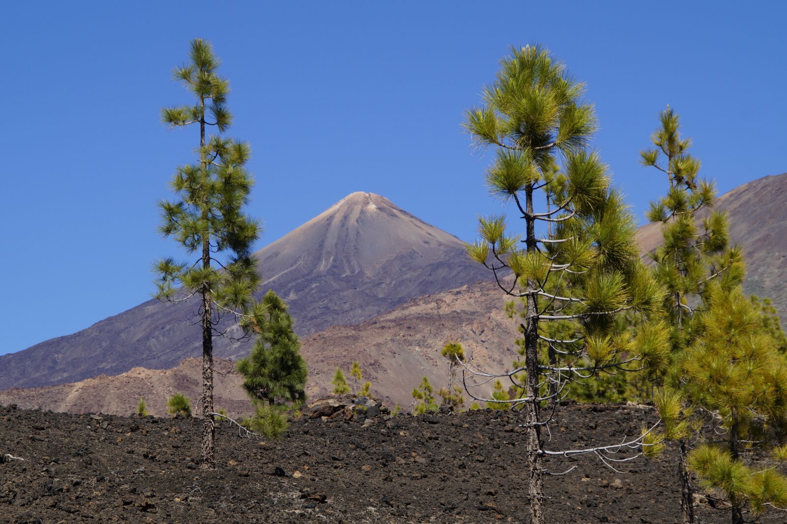 Sony SLT-A58 sample photo. Teide national park, national photography