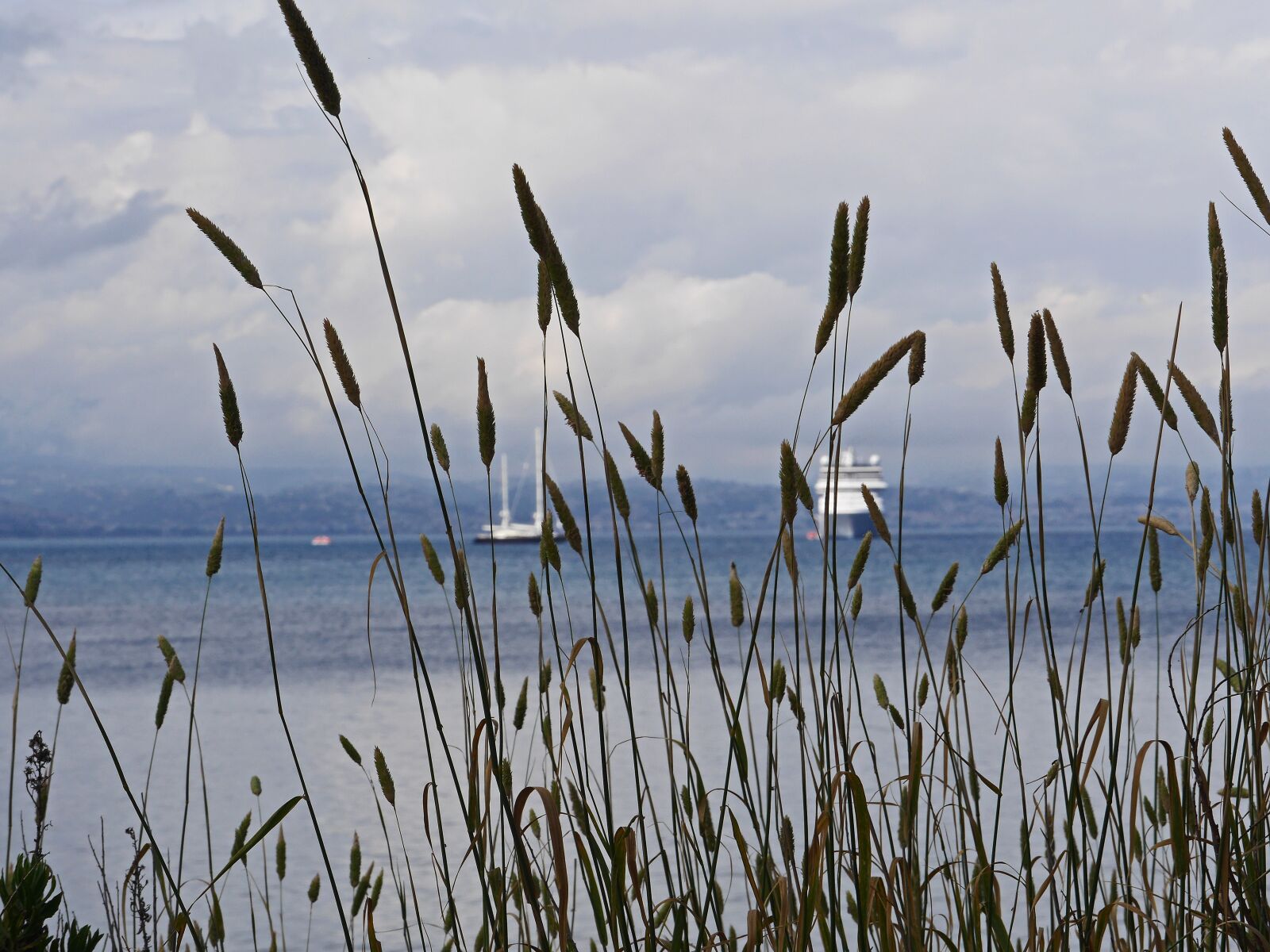 Panasonic Lumix DMC-GH3 sample photo. Mediterranean, bay, grasses photography