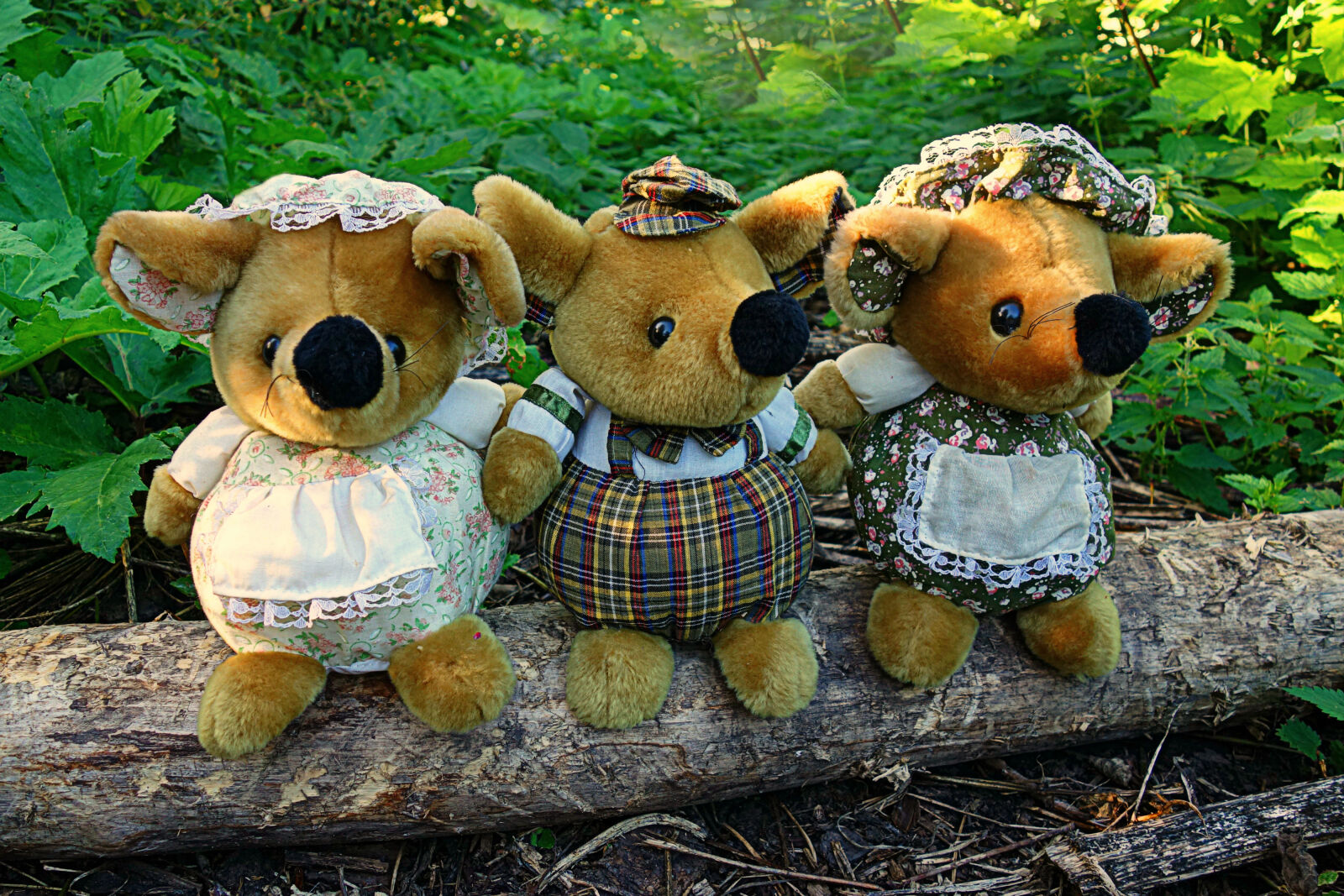 Sony Cyber-shot DSC-RX100 sample photo. Adorable, cuddly, toy, cute photography
