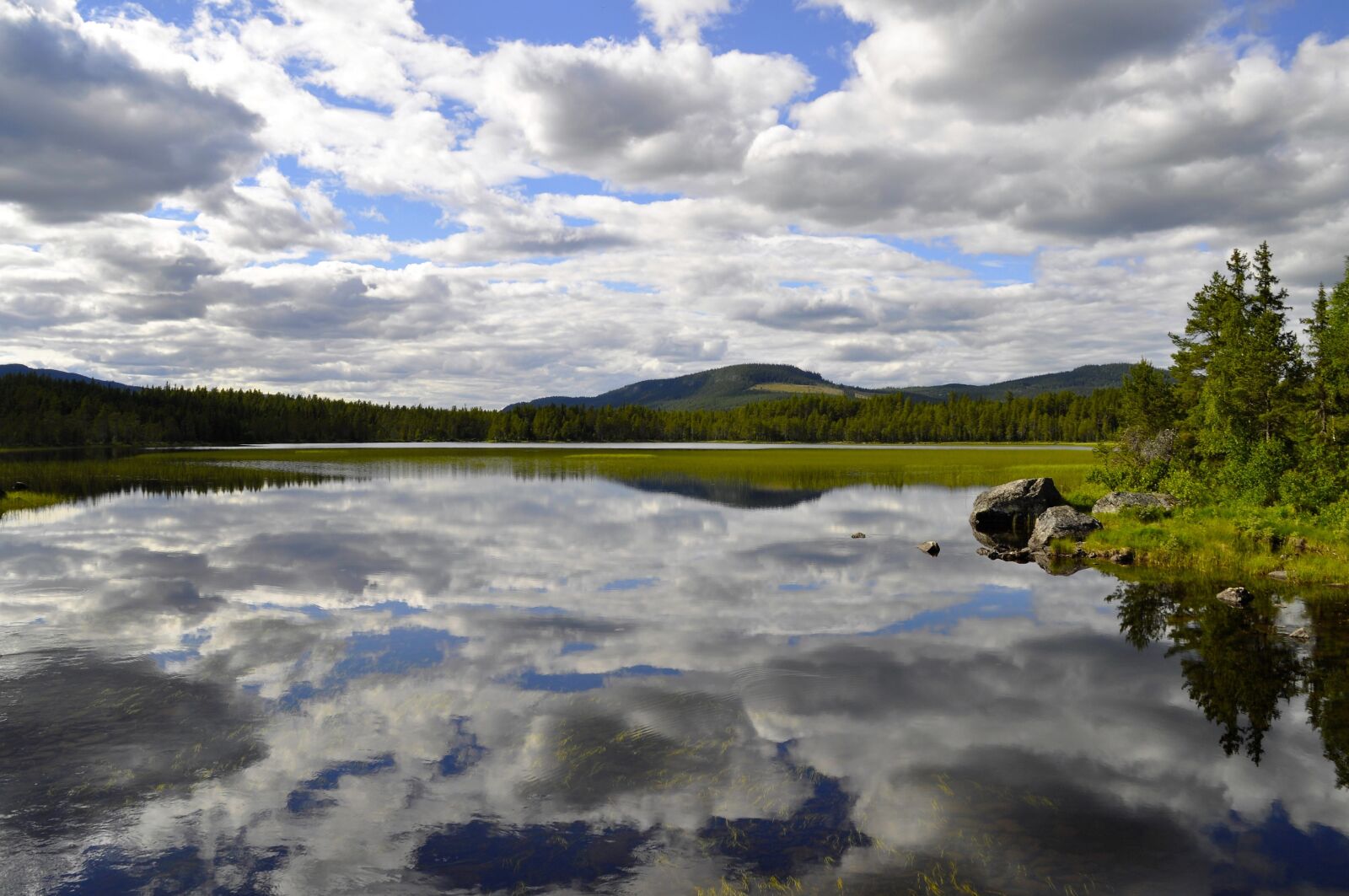 Nikon D5000 sample photo. Sweden, dalarna, nature photography