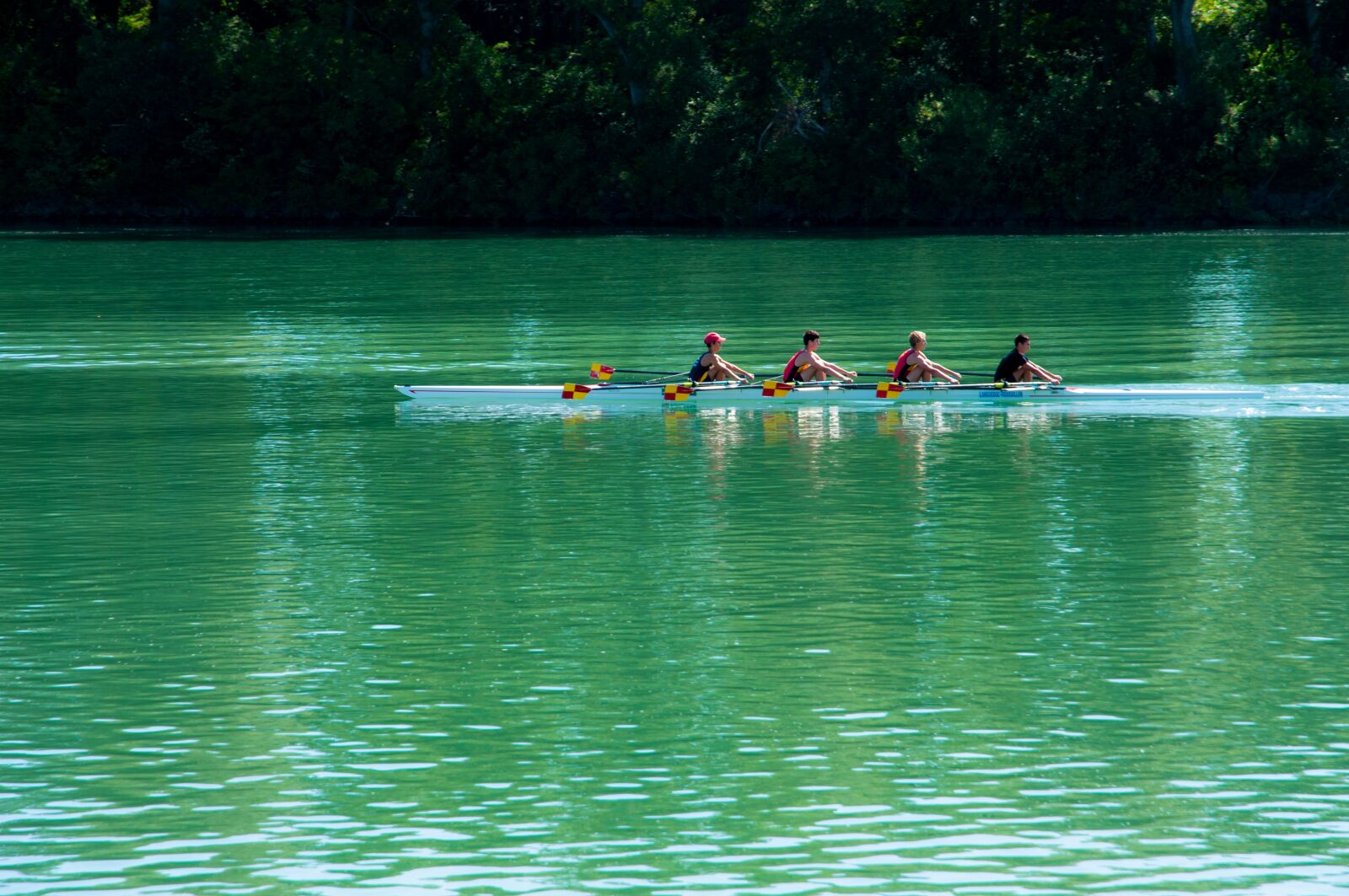 Nikon D300S sample photo. Oars, boat, river photography