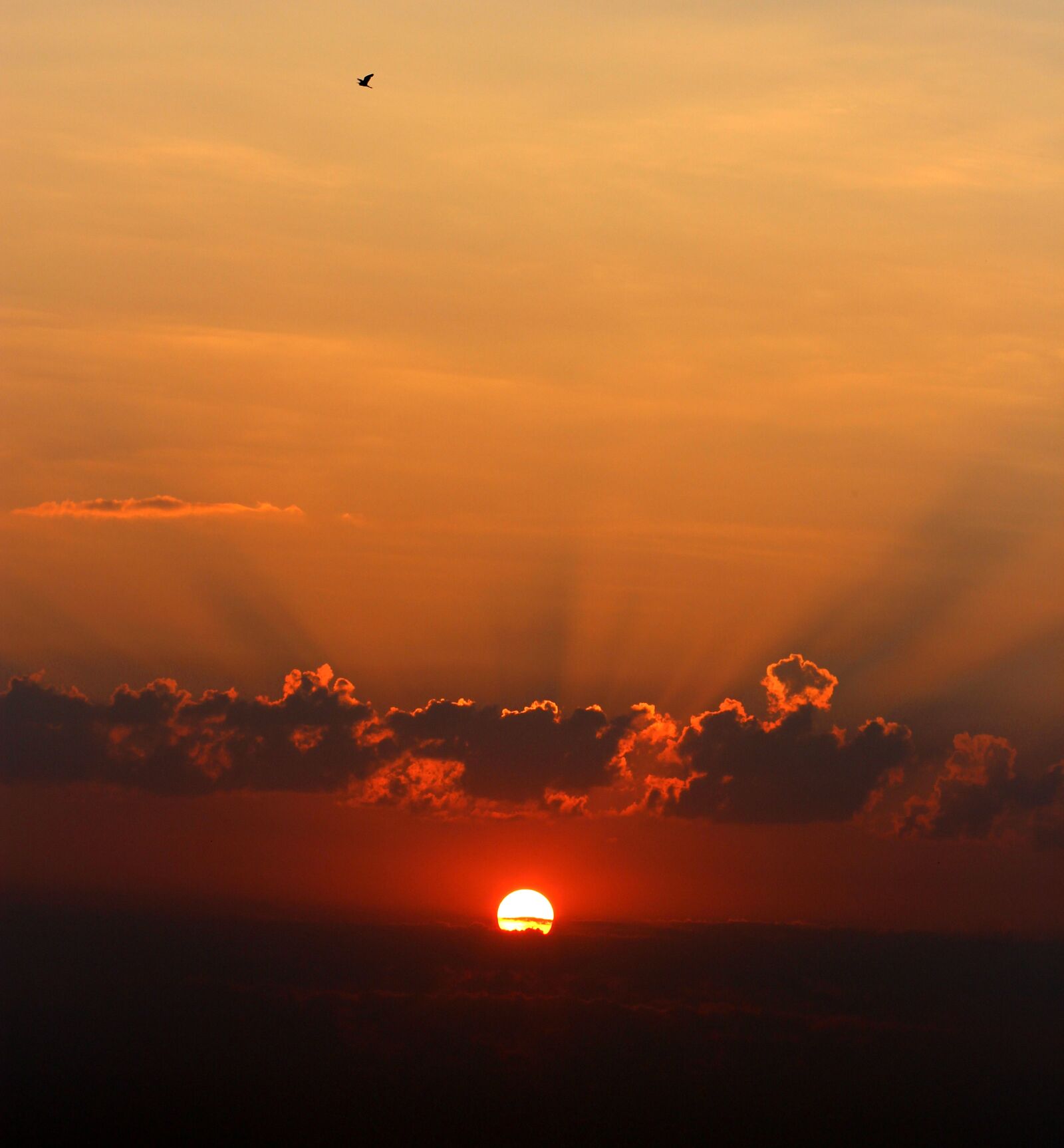 Canon EOS 700D (EOS Rebel T5i / EOS Kiss X7i) + Canon EF 85mm F1.8 USM sample photo. Sunrise, cloud, twilight photography