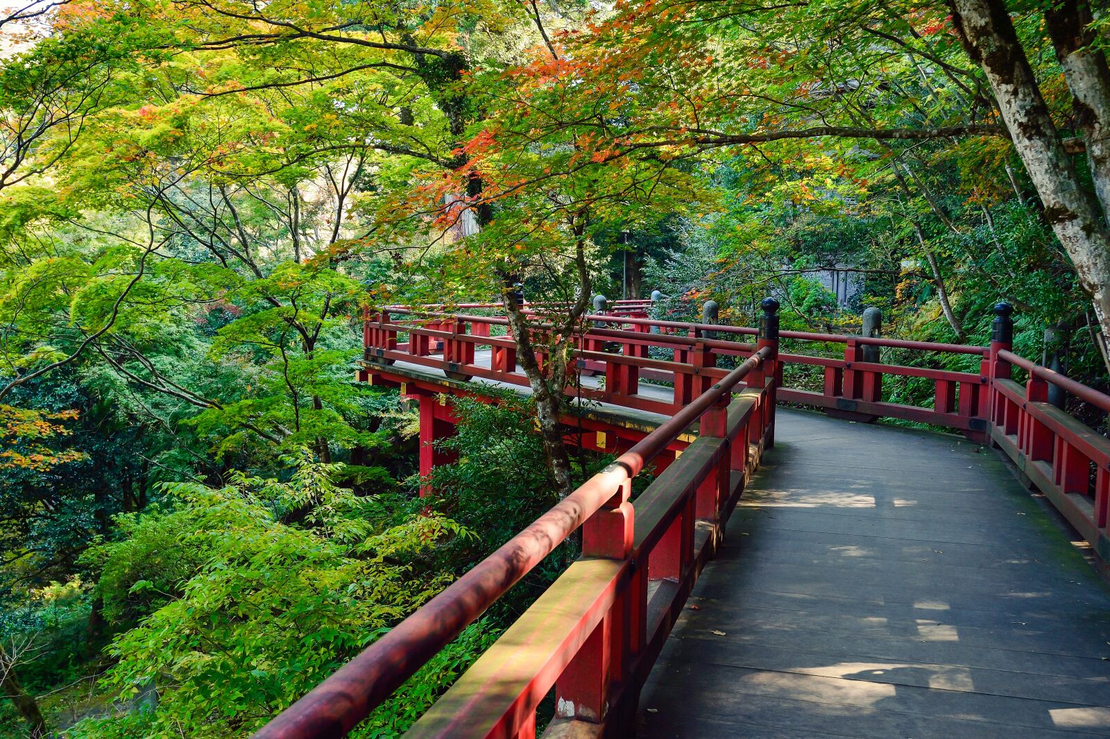Nikon Df sample photo. Japan, landscape, natural photography
