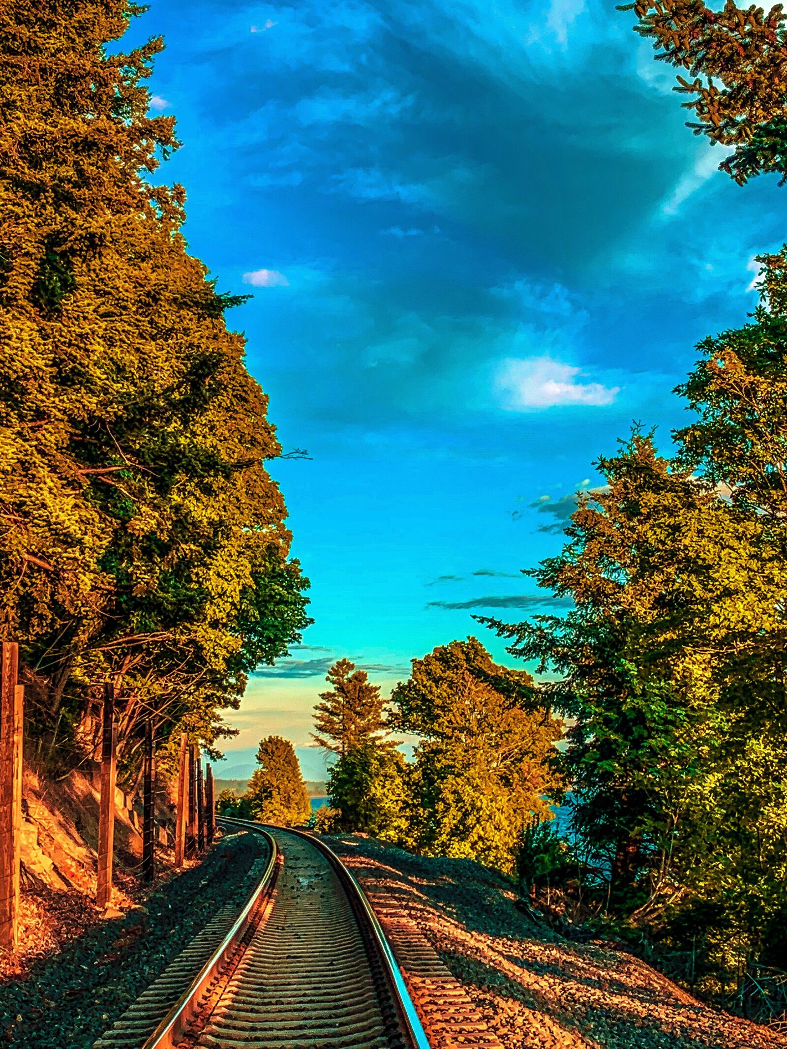 Apple iPhone XR sample photo. Rail road, trees, rail photography