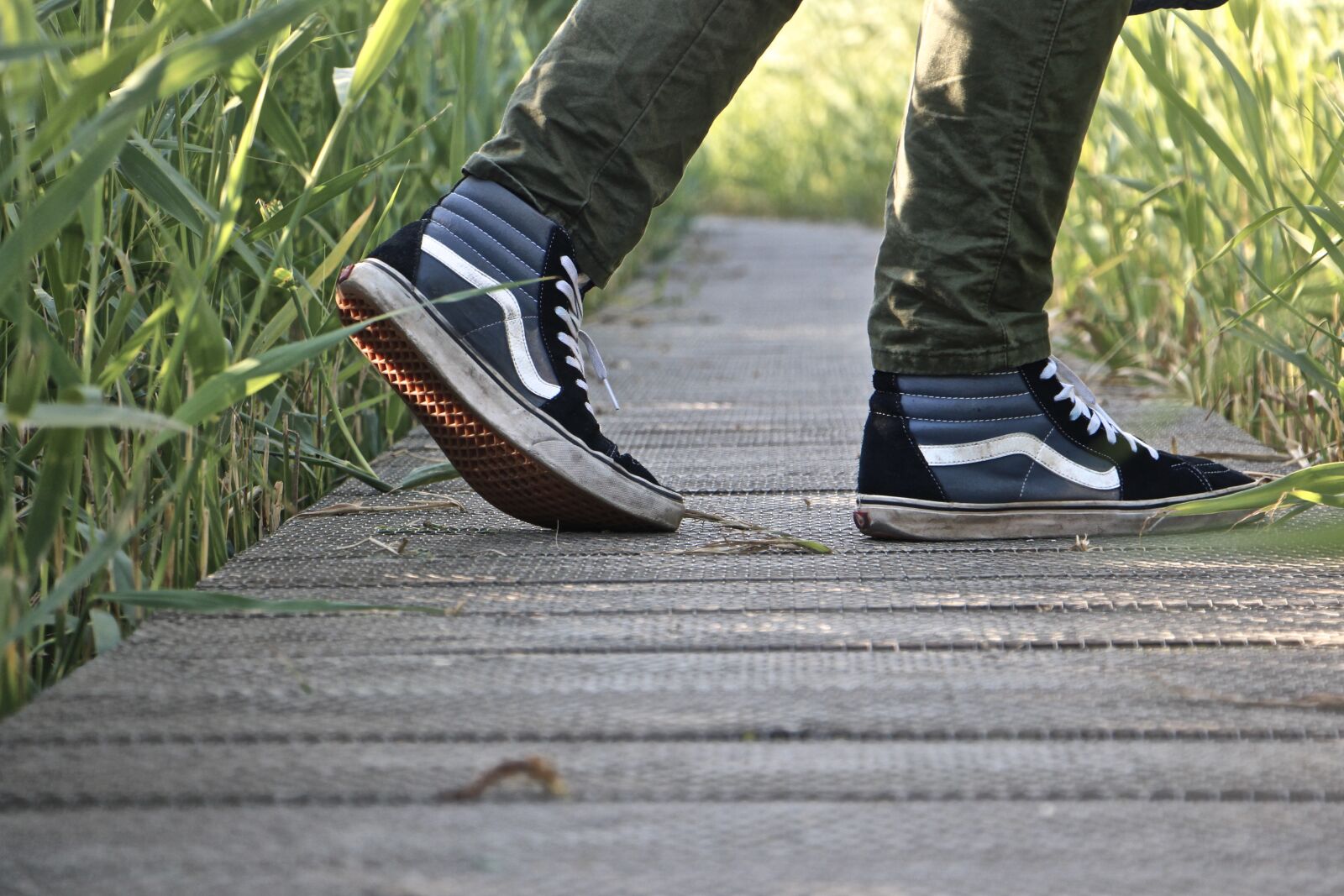 Canon EOS 700D (EOS Rebel T5i / EOS Kiss X7i) sample photo. High grass, walk, relax photography