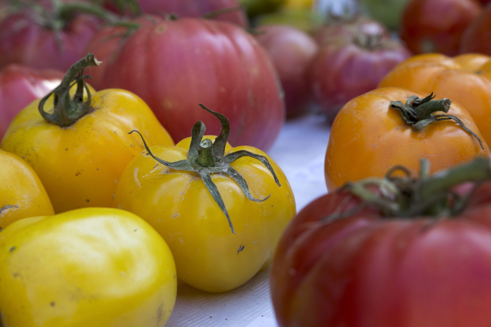 Canon EOS 6D sample photo. Tomato, vegetable, fresh photography