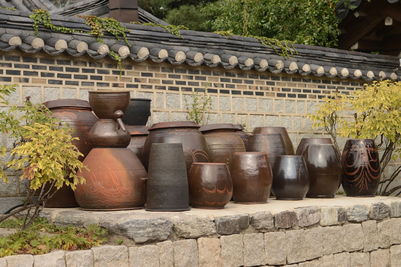 Nikon D3200 sample photo. Tradition, pickles cylinder, korea photography