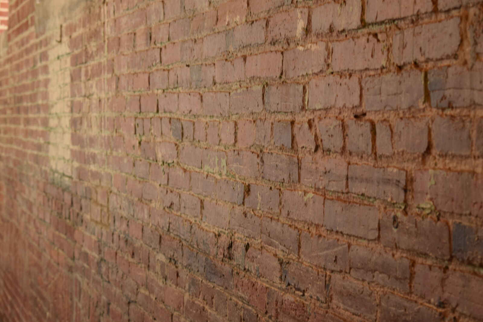 Nikon D3300 sample photo. Brick, rustic photography