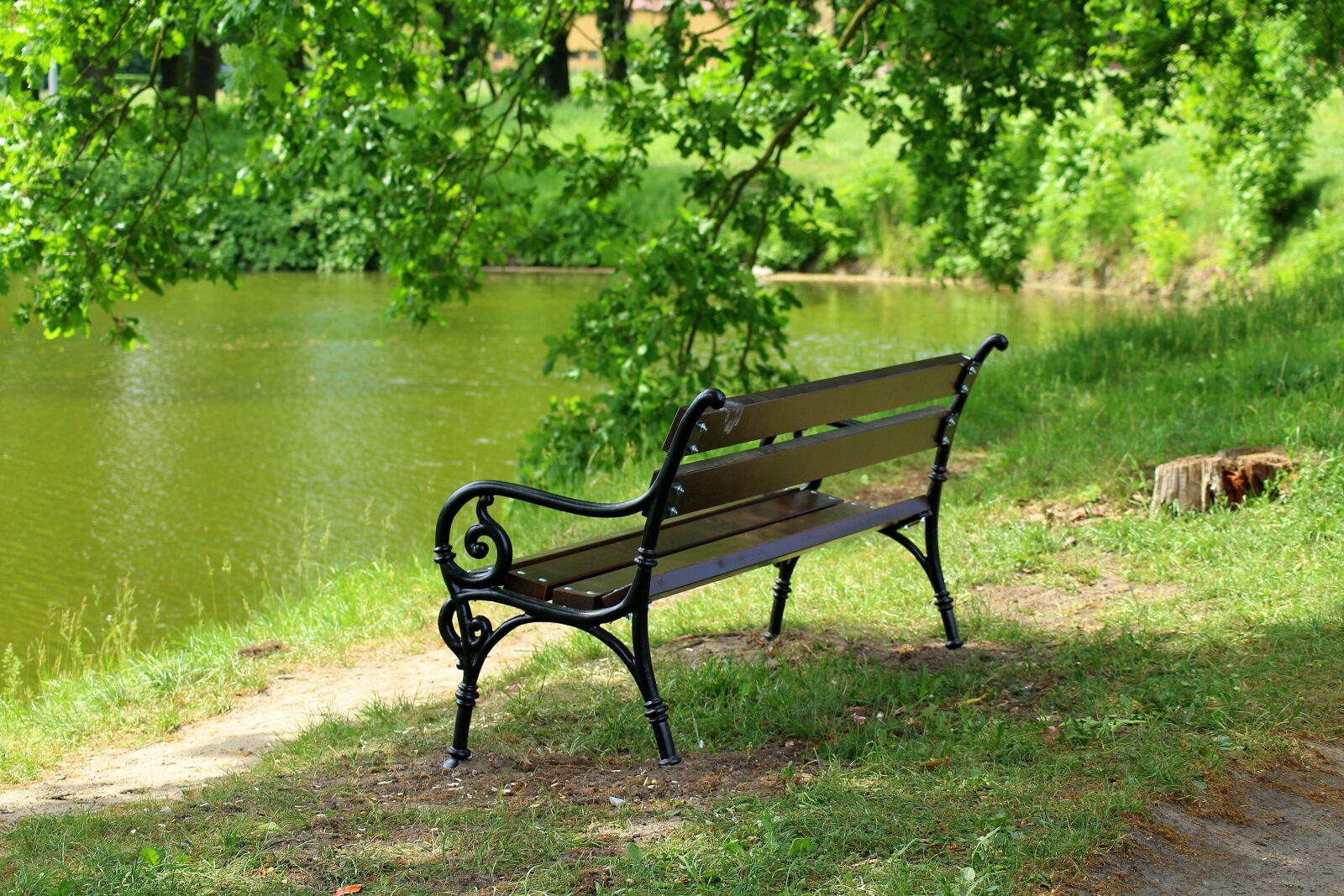 Canon EOS 1200D (EOS Rebel T5 / EOS Kiss X70 / EOS Hi) sample photo. Bench, park, pond photography