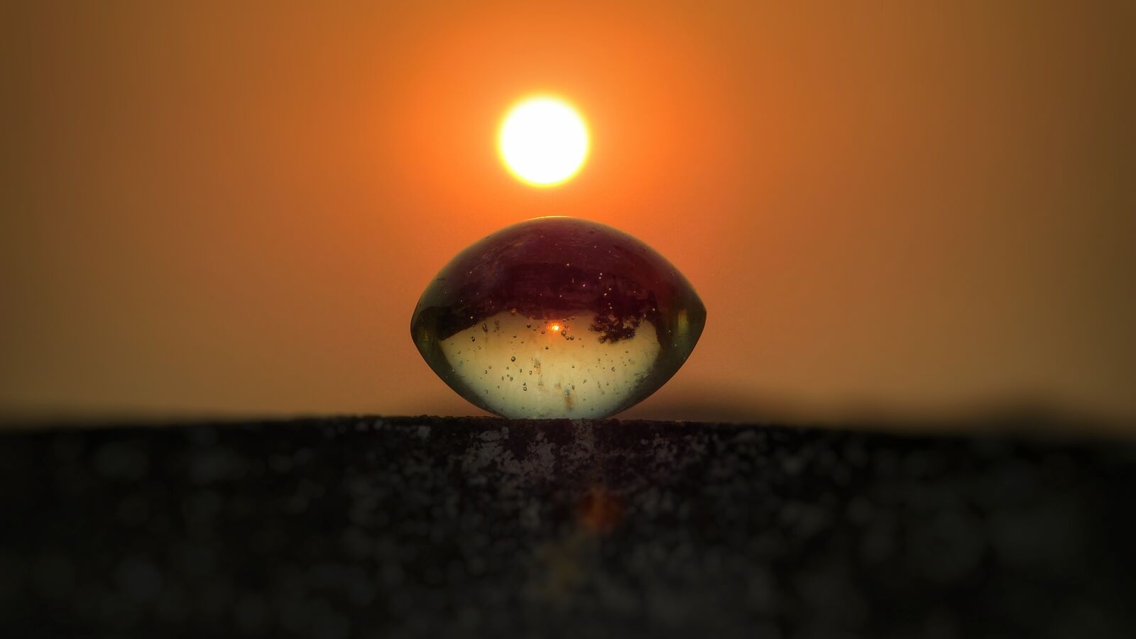 Nikon Coolpix L840 sample photo. Nature, sun, dark photography