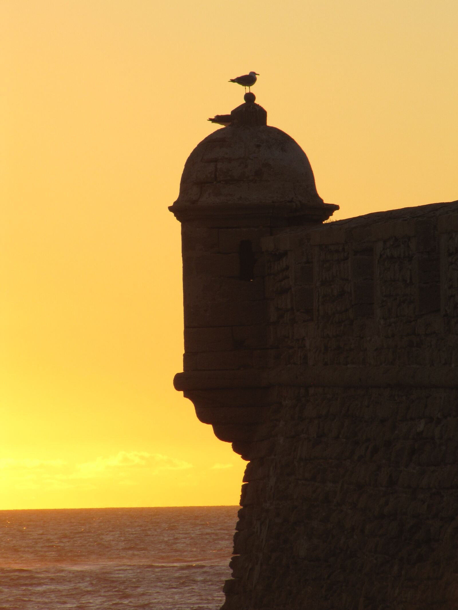 Canon PowerShot SX20 IS sample photo. Sunset, tower, sea photography