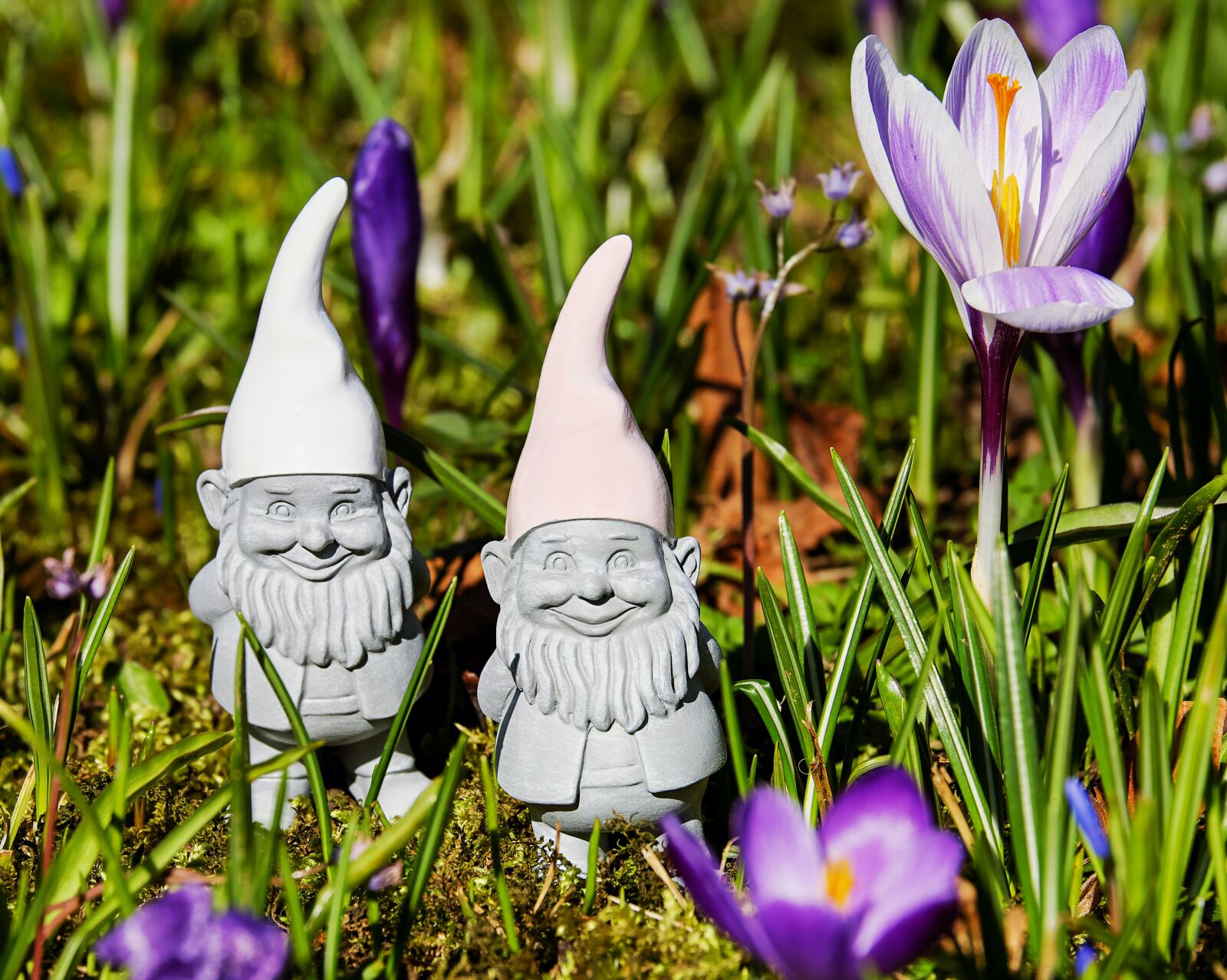 Fujifilm XF 55-200mm F3.5-4.8 R LM OIS sample photo. Imp, spring imp, figure photography