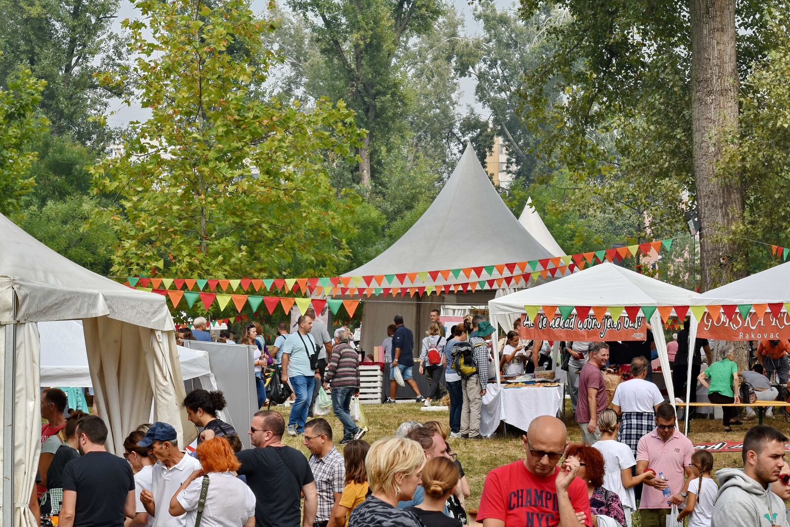 Nikon D5500 sample photo. Camping, carnival, crowd, event photography