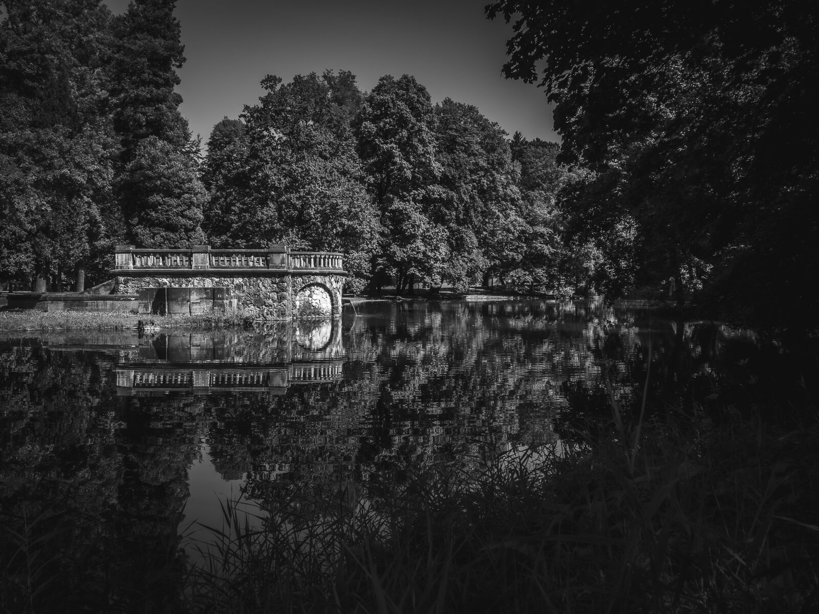 Olympus OM-D E-M10 II sample photo. Matze park, pond, park photography