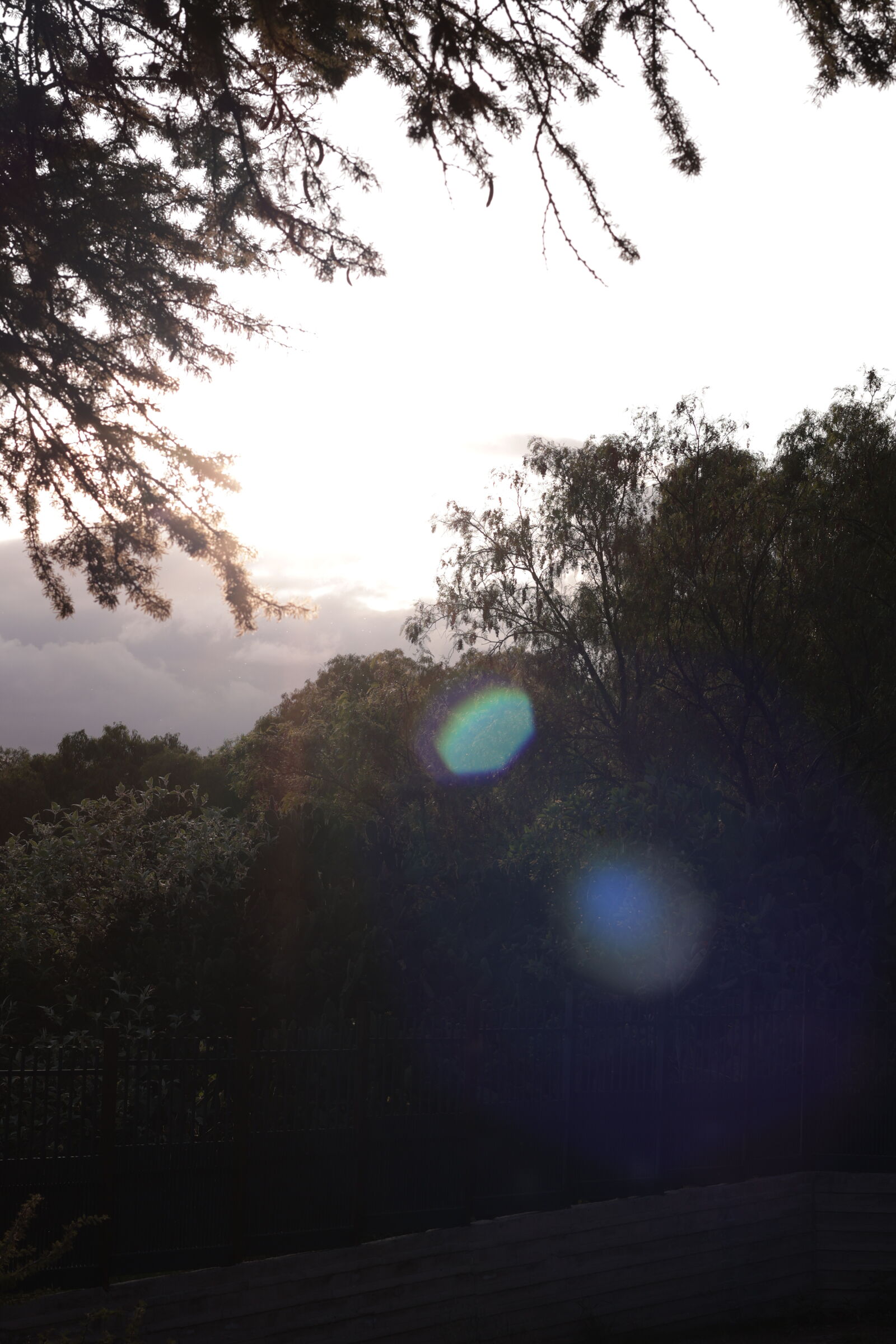 Canon RF 50mm F1.8 STM sample photo