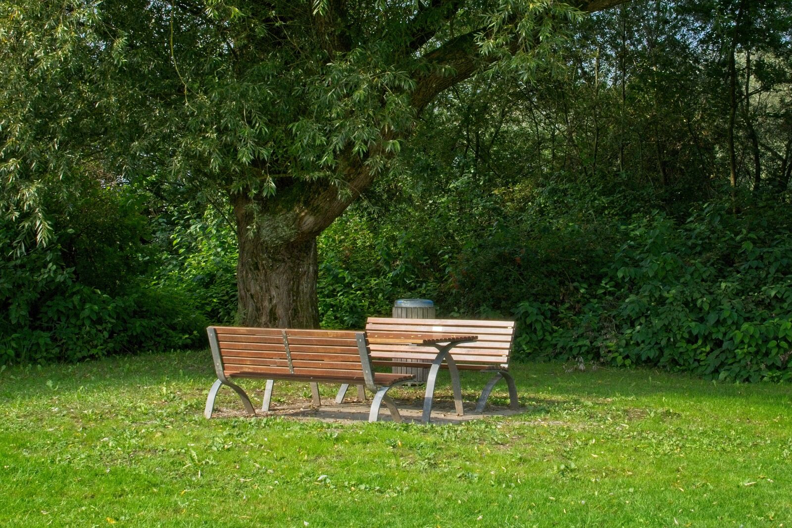 Nikon AF-S DX Nikkor 35mm F1.8G sample photo. Seat, trees, green photography