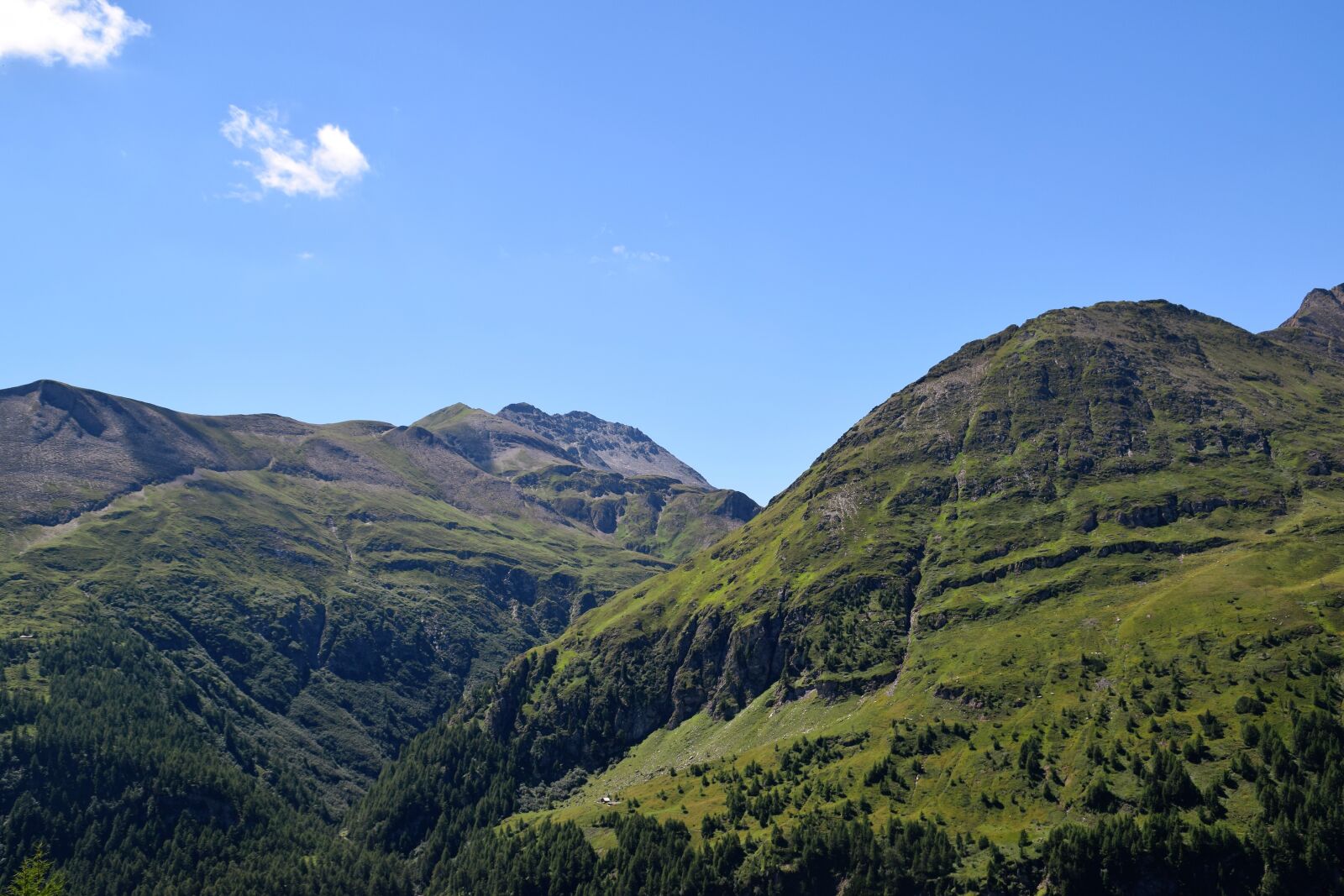 Nikon D5300 sample photo. Mountains, alpine, green photography