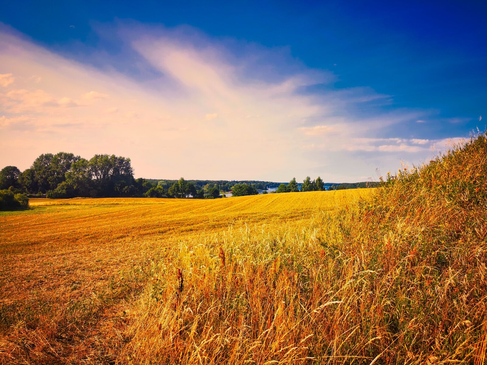 HUAWEI P20 sample photo. Field, mecklenburg vorpommern, landscape photography