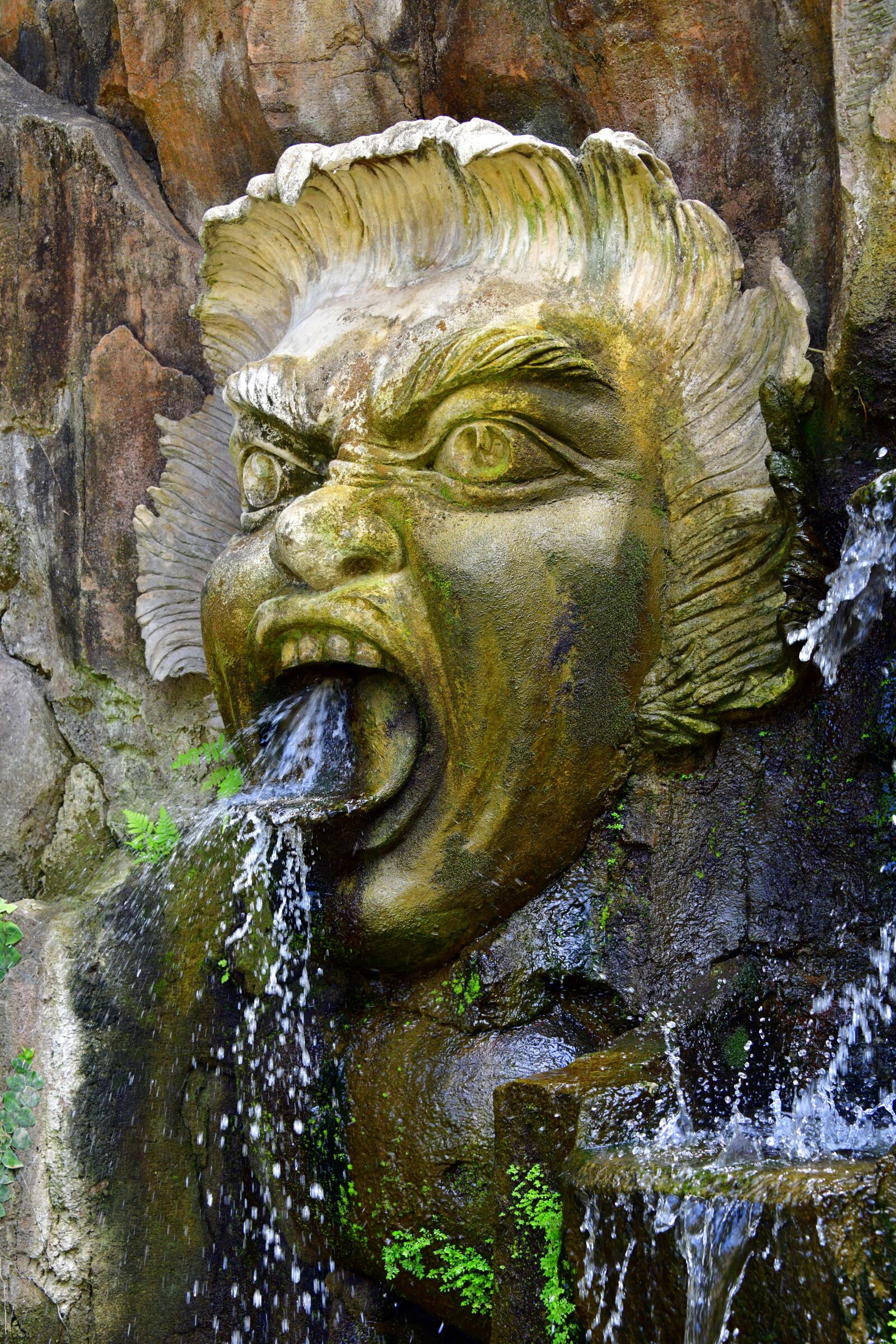 Nikon D850 sample photo. Water, spout, fountain photography