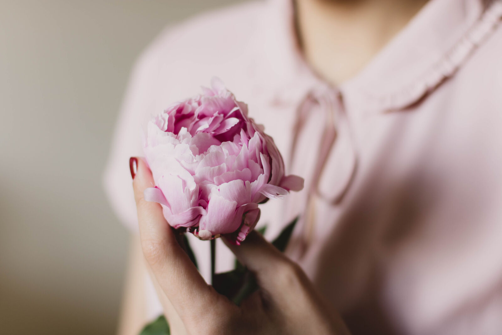 Canon EOS 760D (EOS Rebel T6s / EOS 8000D) + Canon EF 50mm F1.4 USM sample photo. Flower, pink, peony, blouse photography